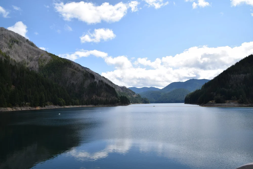 DSC_0061.JPG