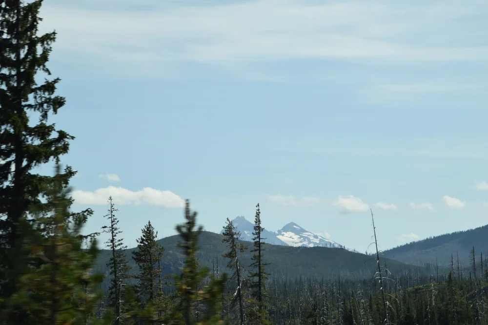 DSC_0067.JPG