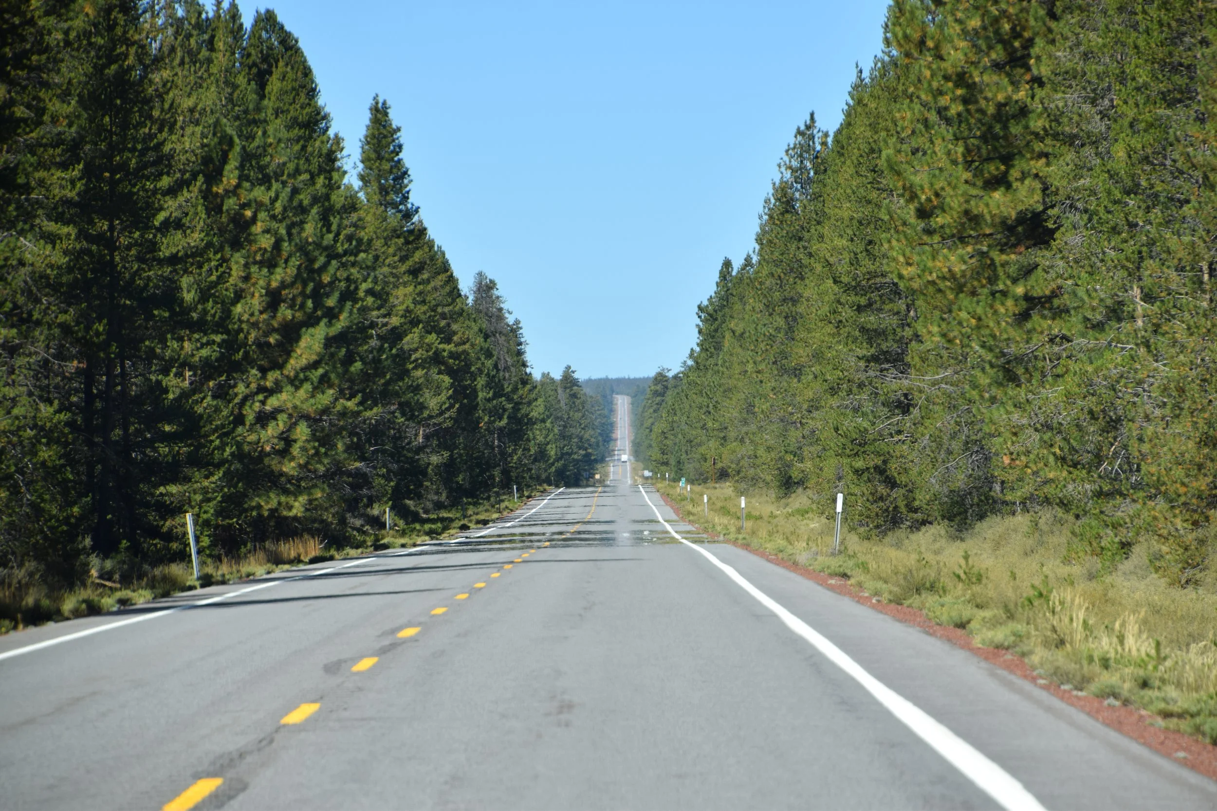 DSC_0090.JPG