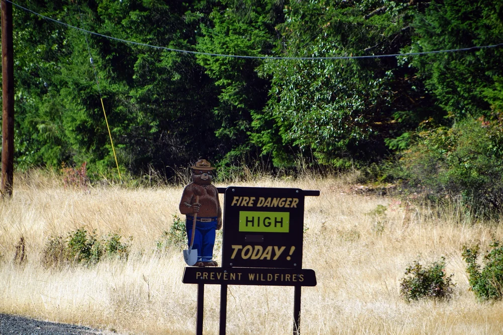 DSC_0113.JPG