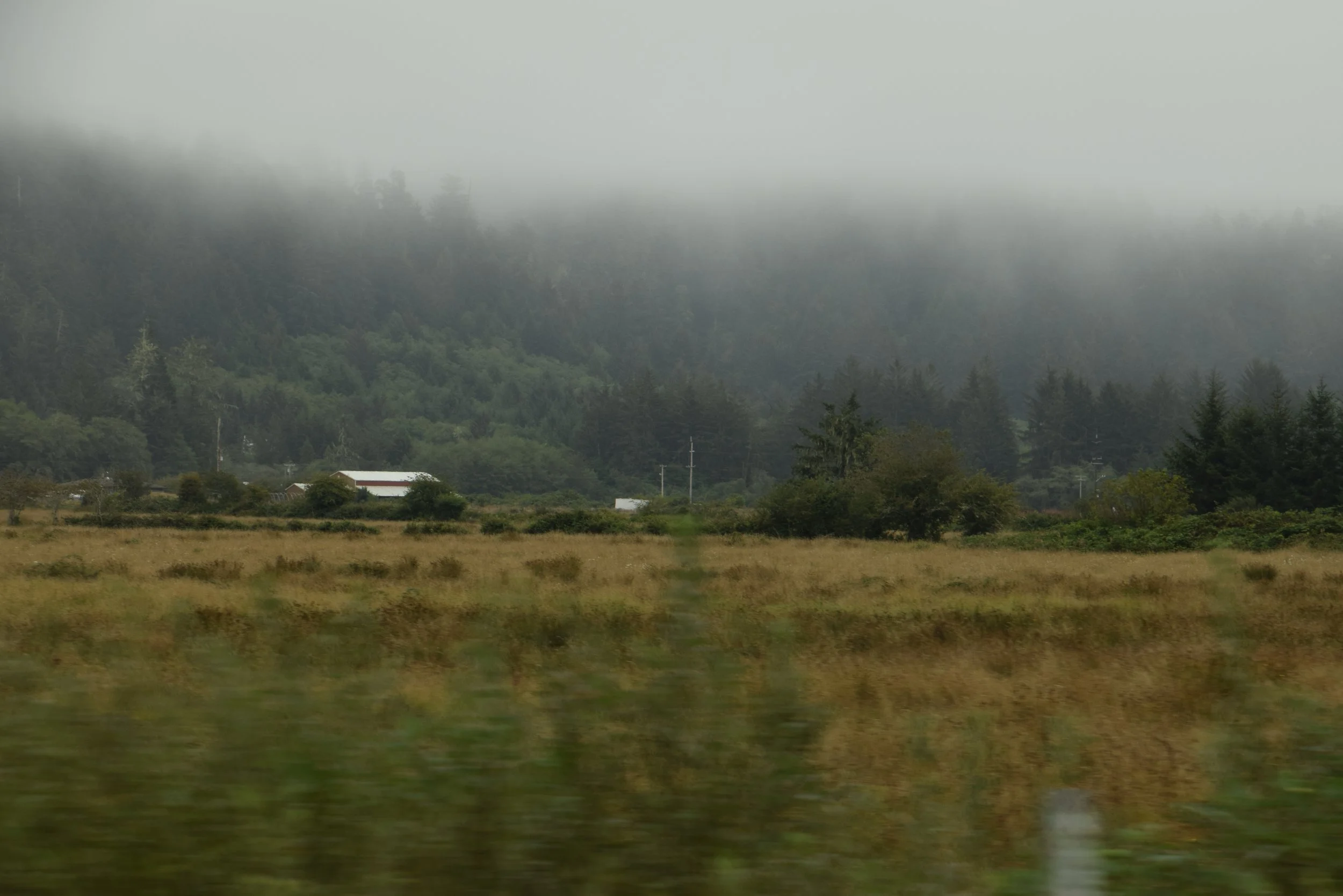 DSC_0130.JPG