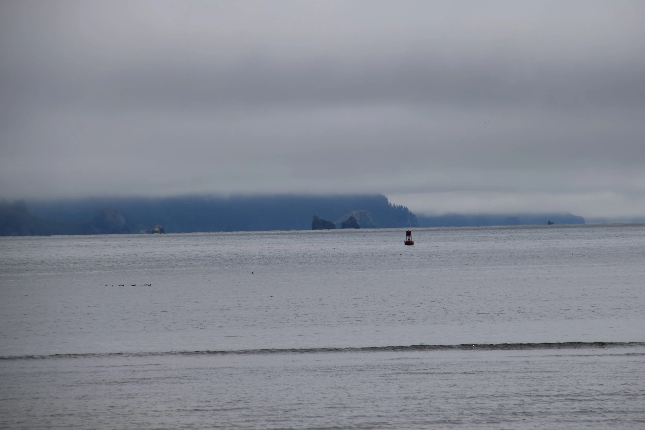 DSC_0132.JPG