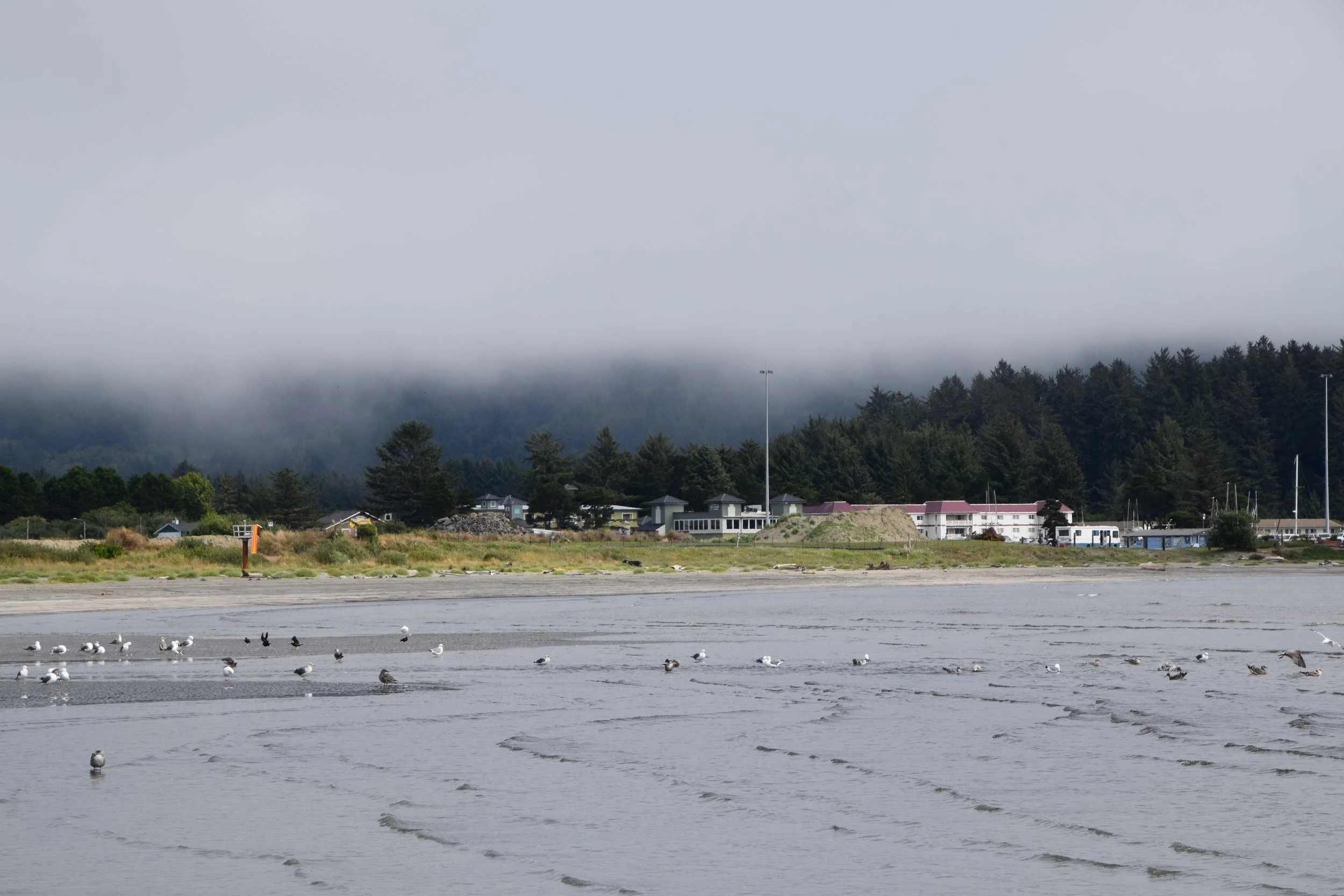 DSC_0134.JPG