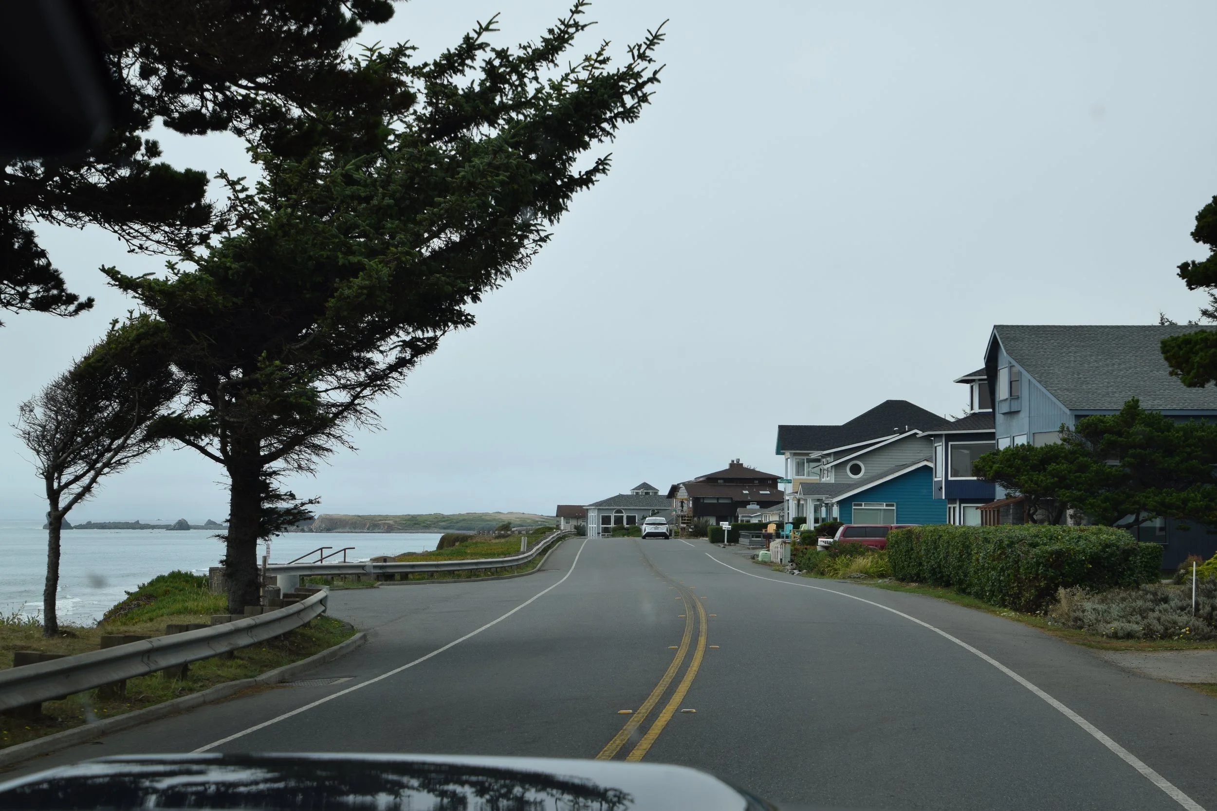 DSC_0149.JPG