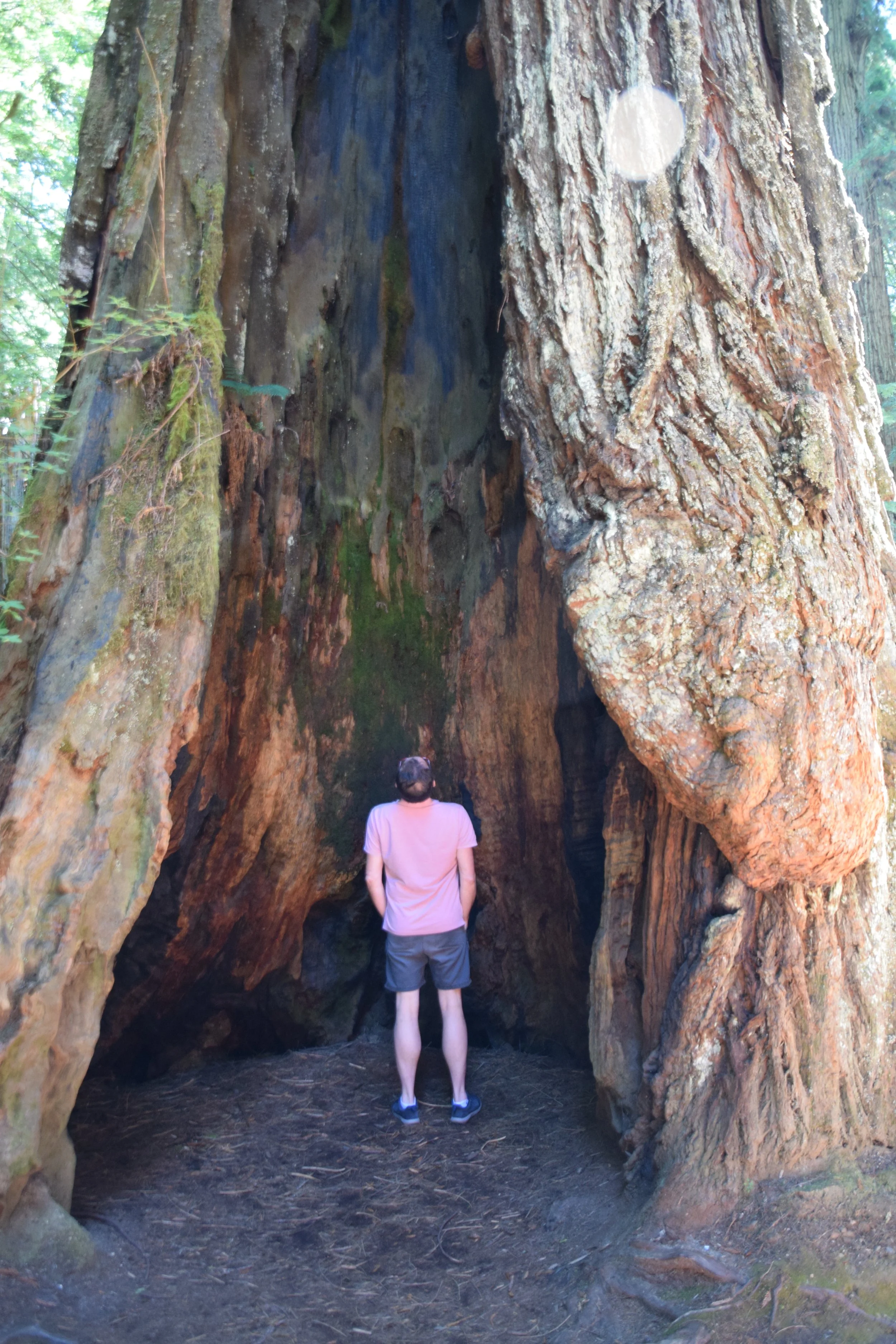 DSC_0164.JPG