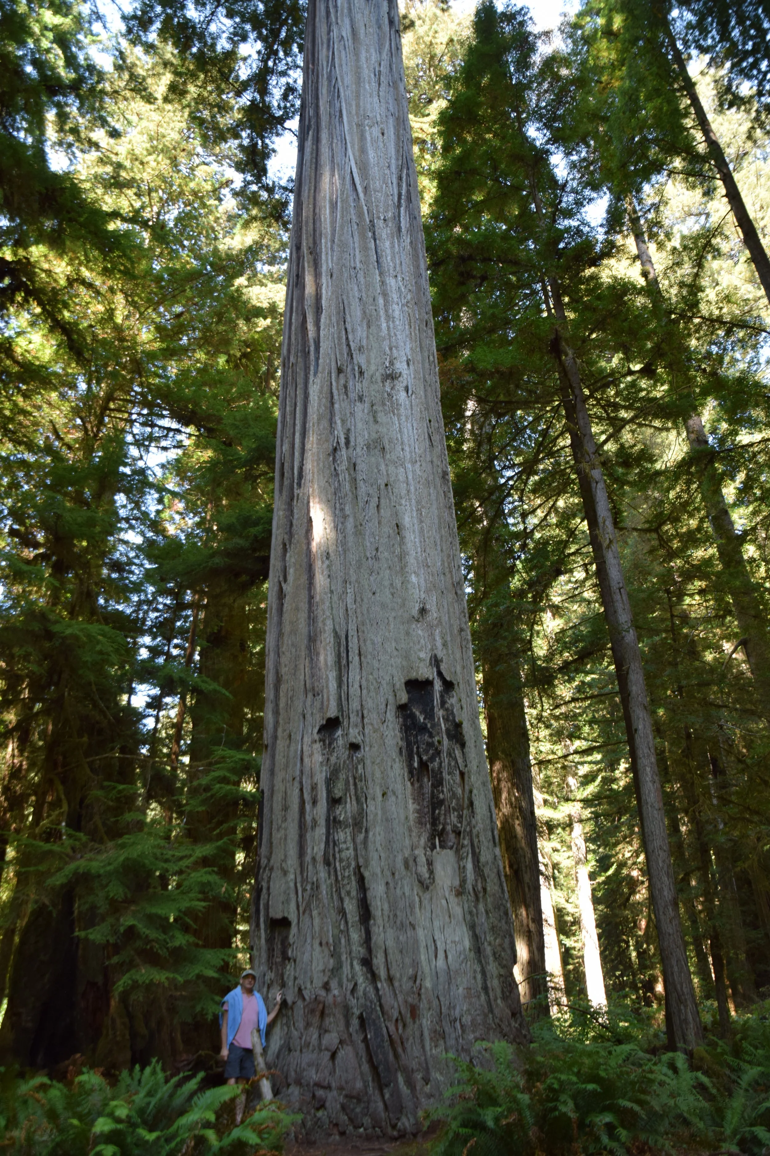 DSC_0171.JPG