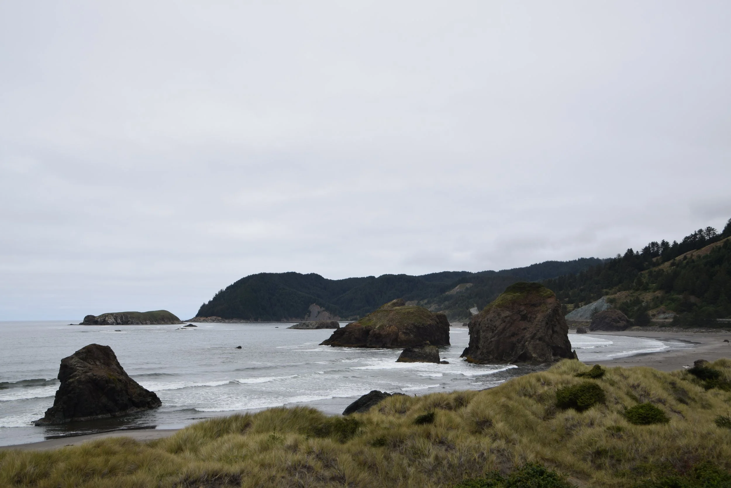 DSC_0191.JPG