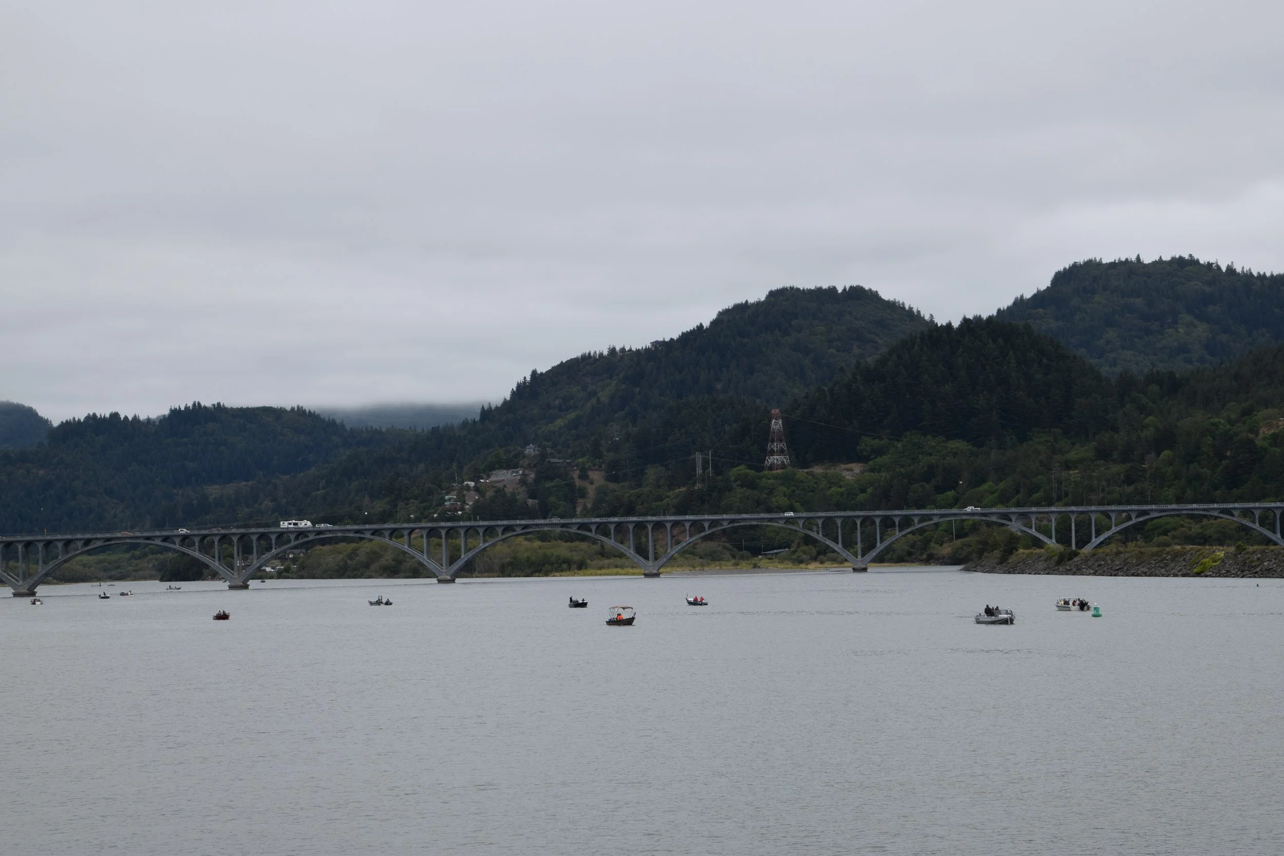 DSC_0195.JPG