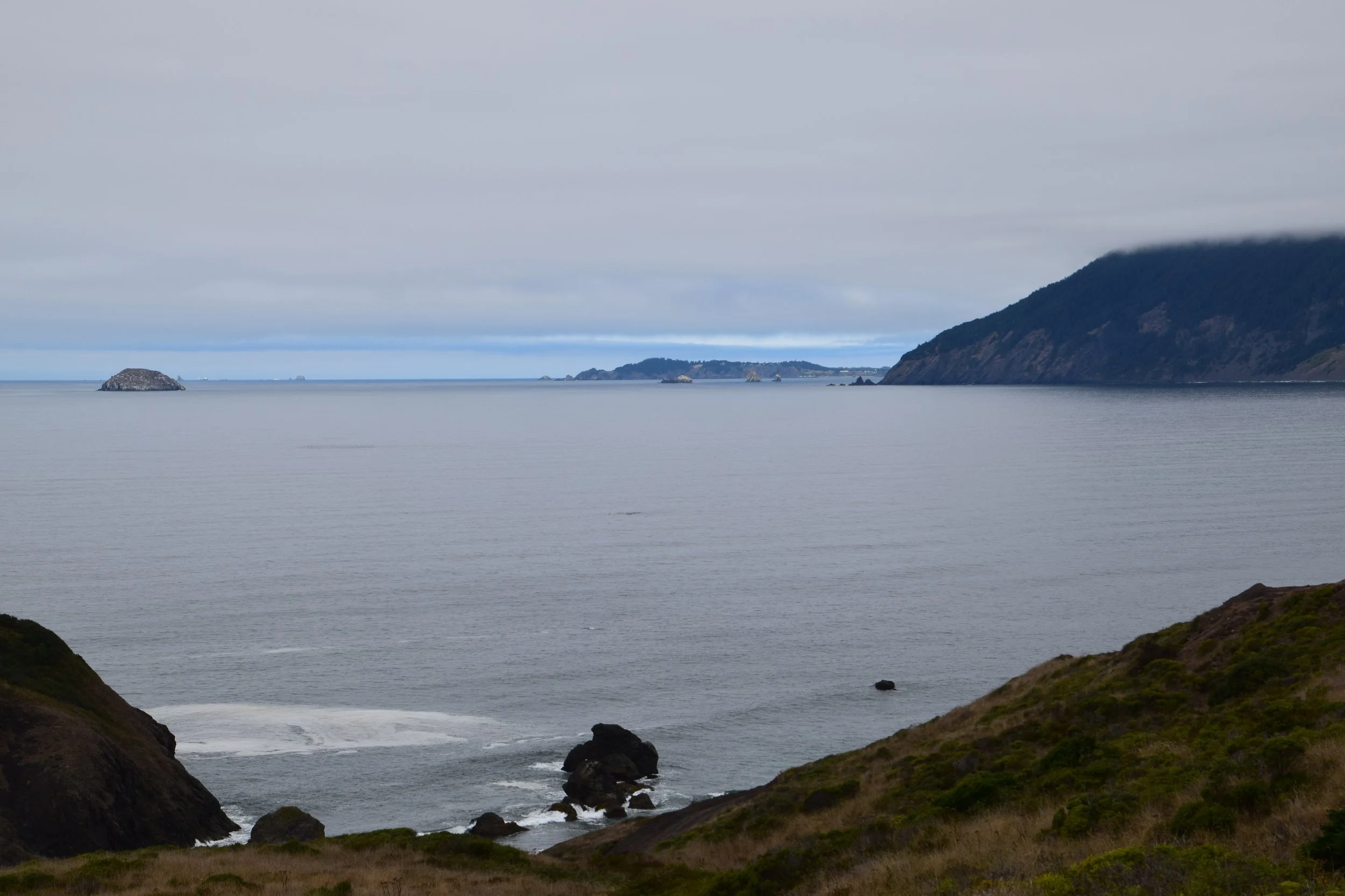 DSC_0203.JPG