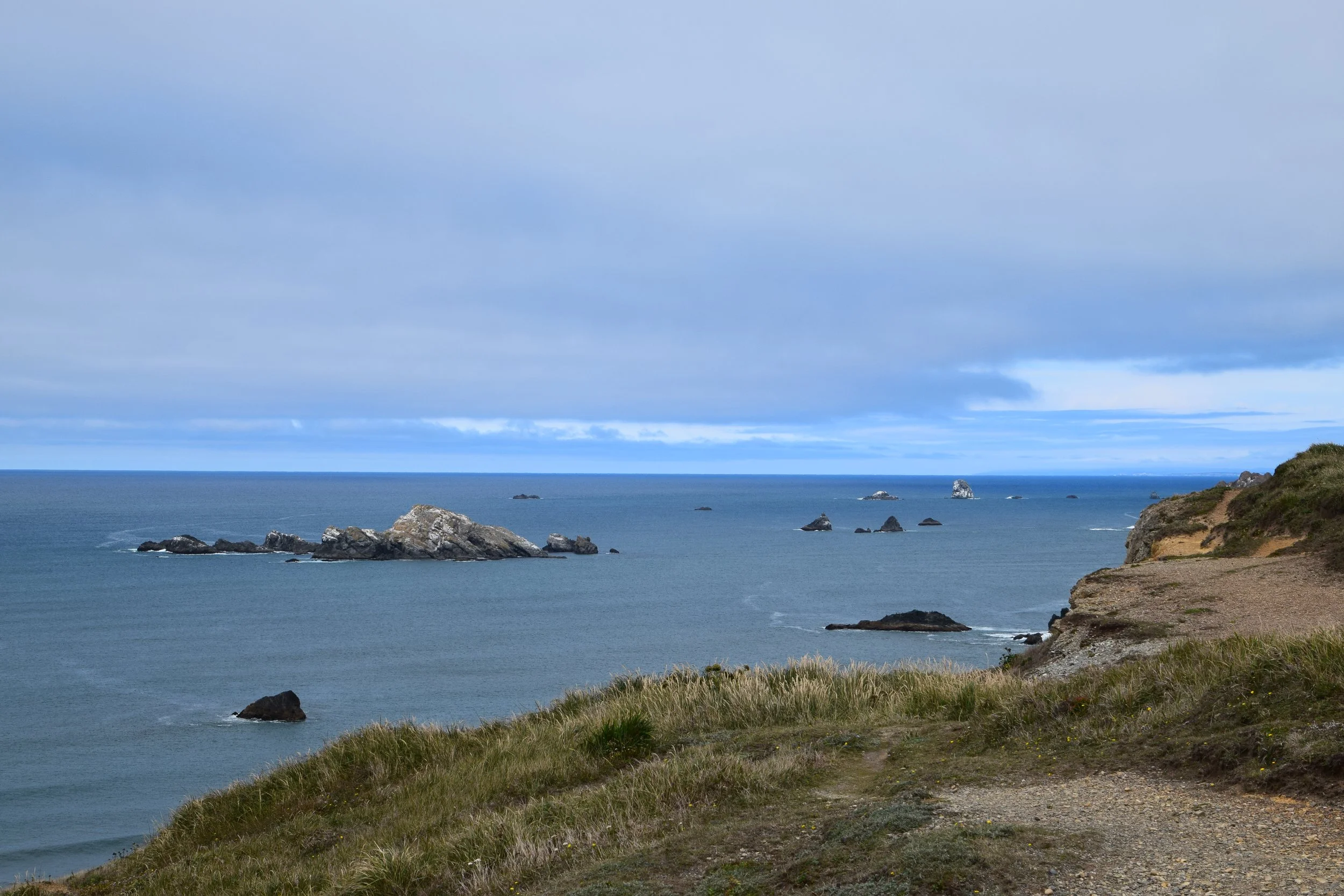 DSC_0209.JPG