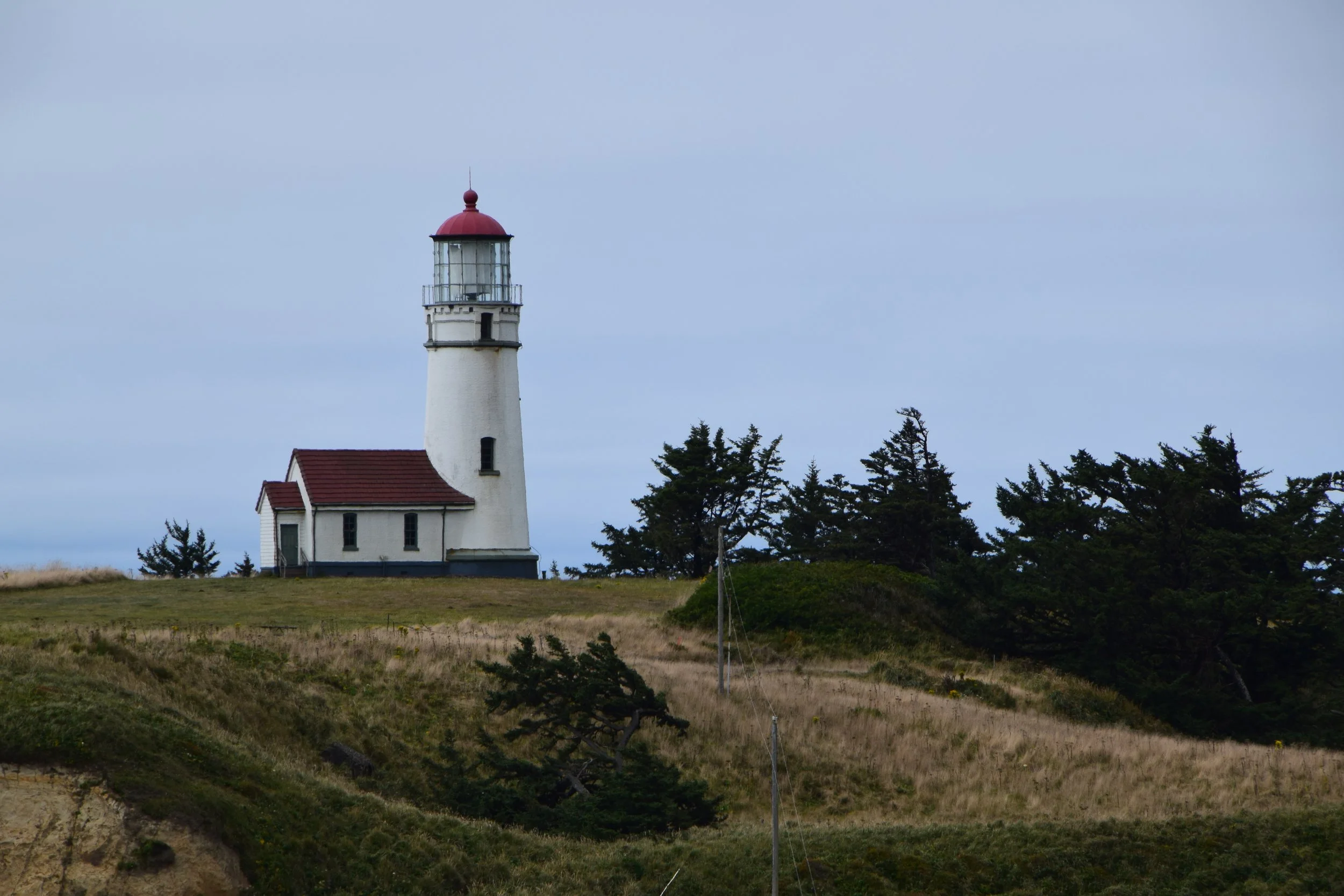 DSC_0211.JPG