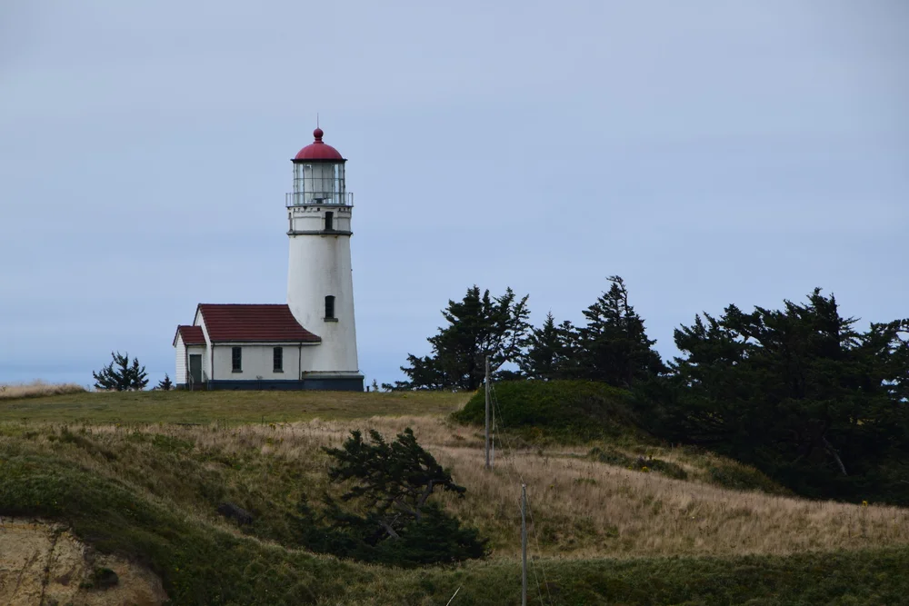 DSC_0211.JPG