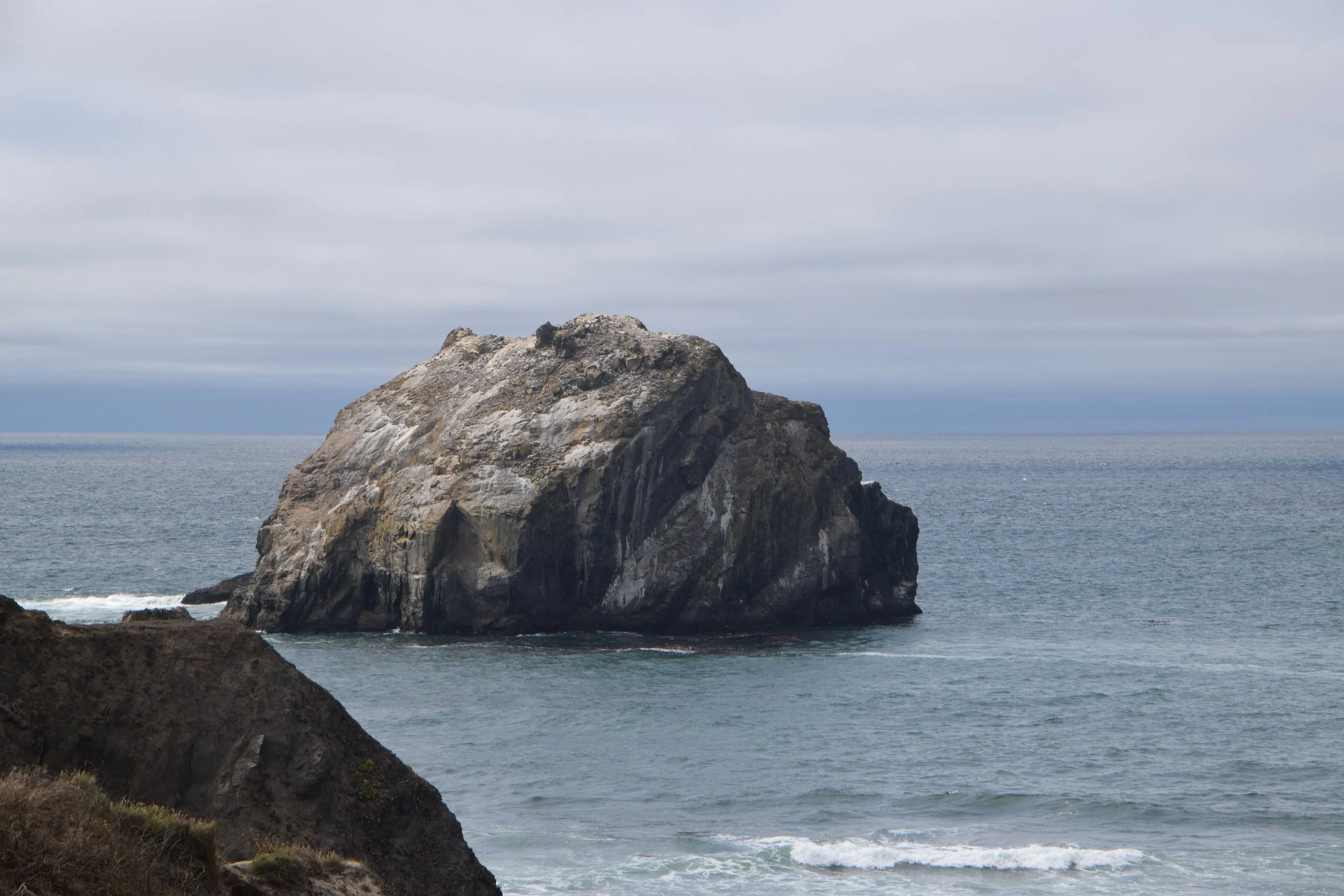 DSC_0215.JPG