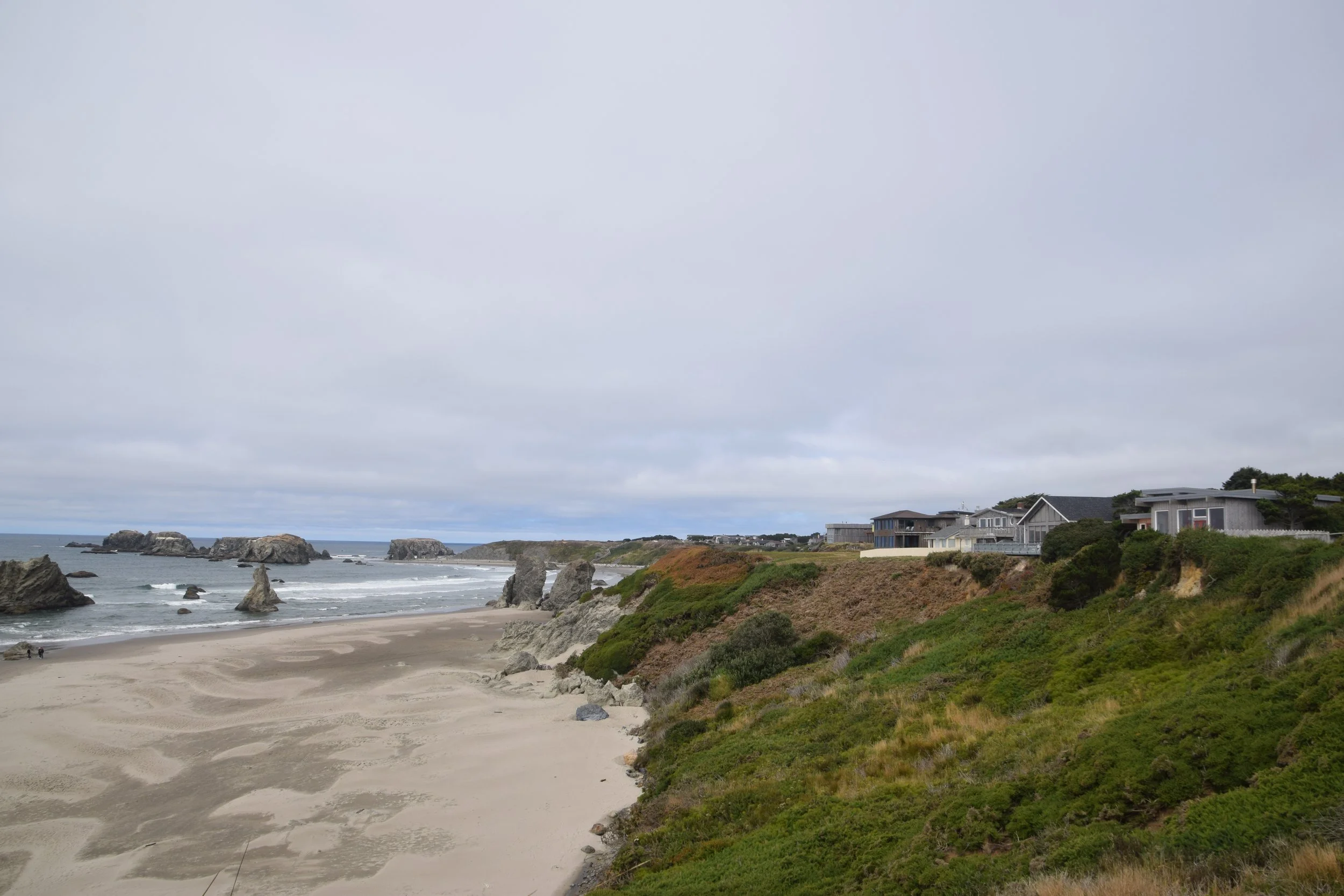DSC_0219.JPG