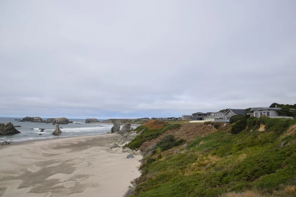 DSC_0219.JPG