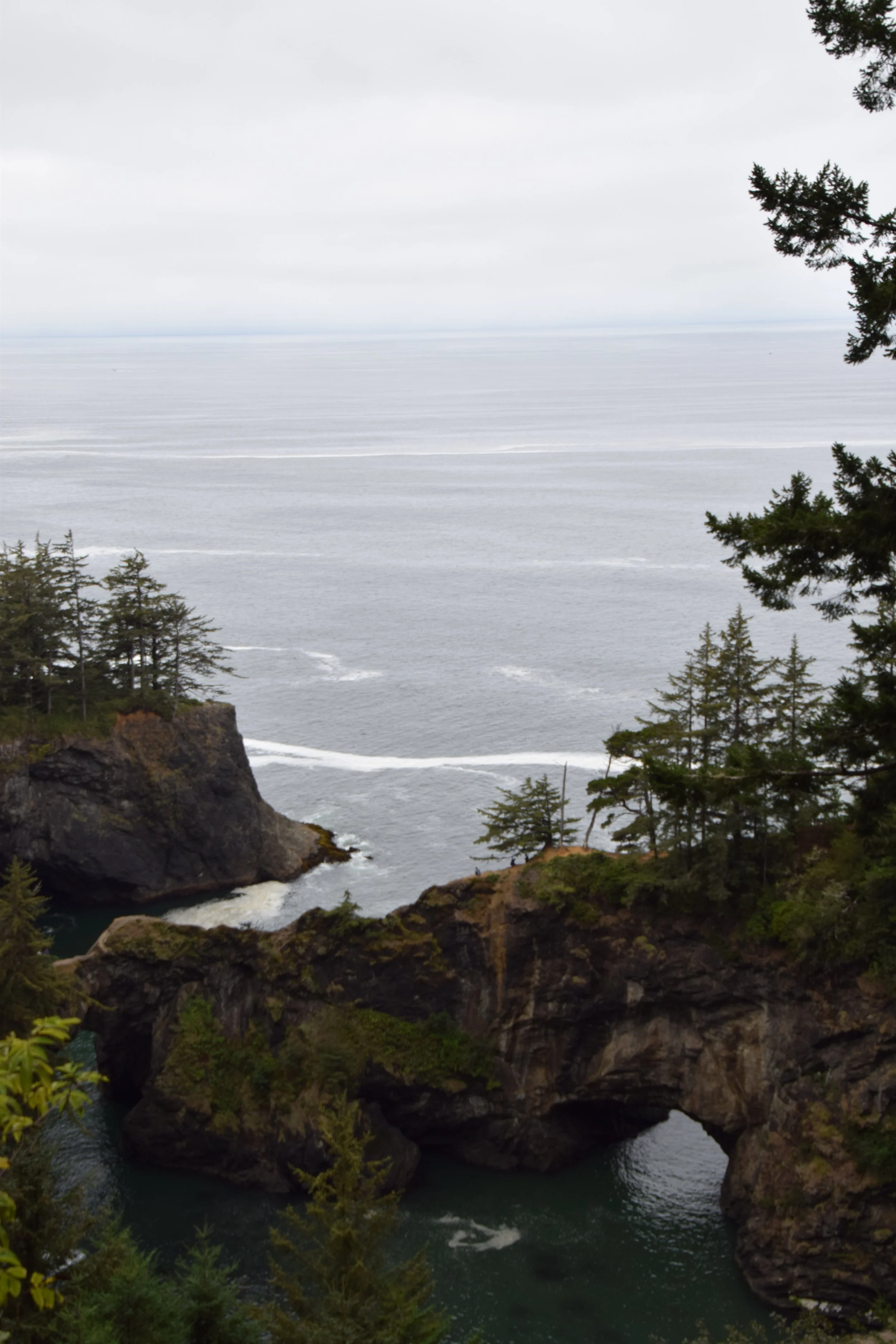 DSC_0187.JPG