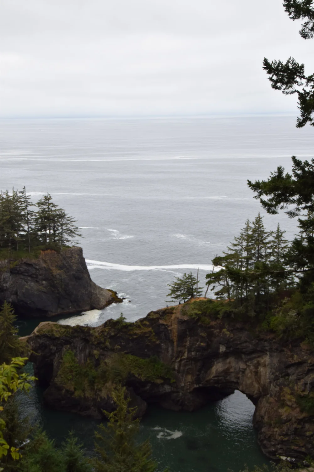 DSC_0187.JPG