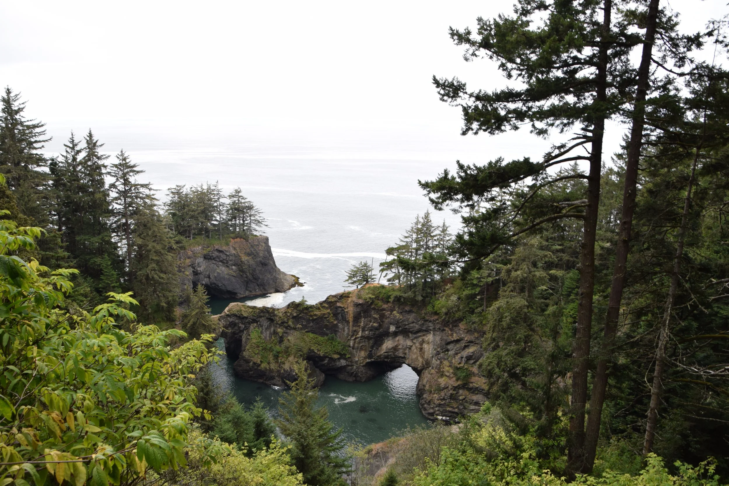 DSC_0186.JPG