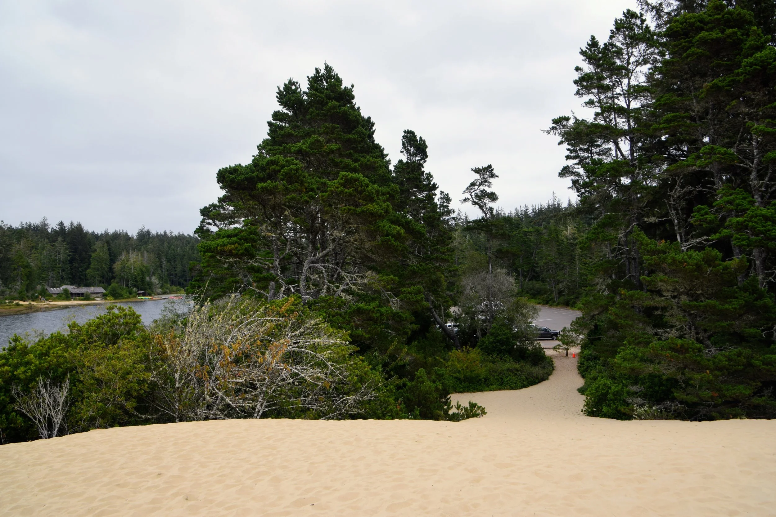 DSC_0237.JPG