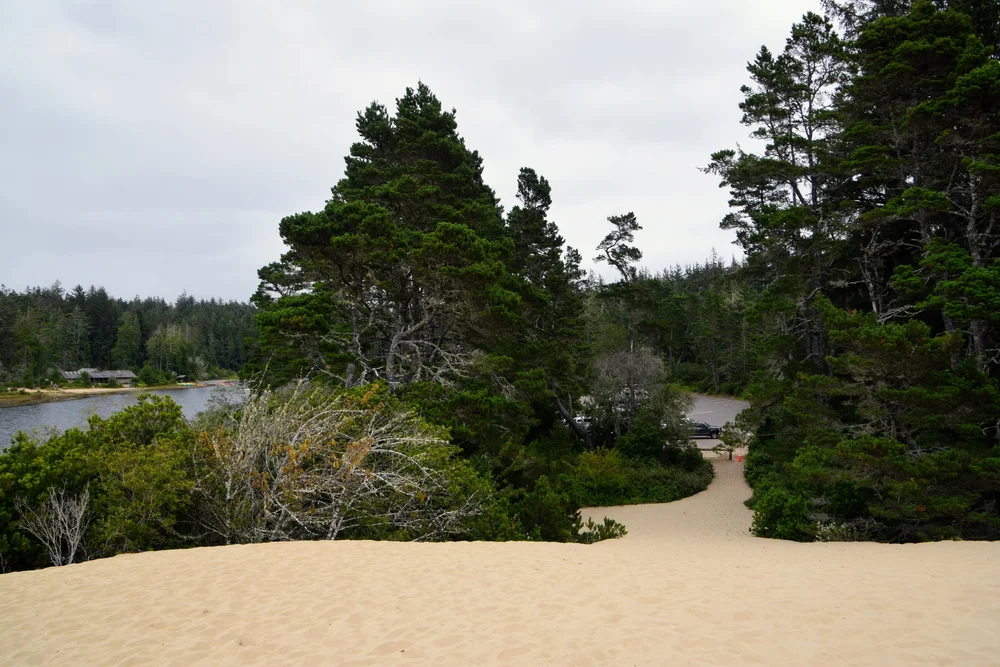 DSC_0237.JPG