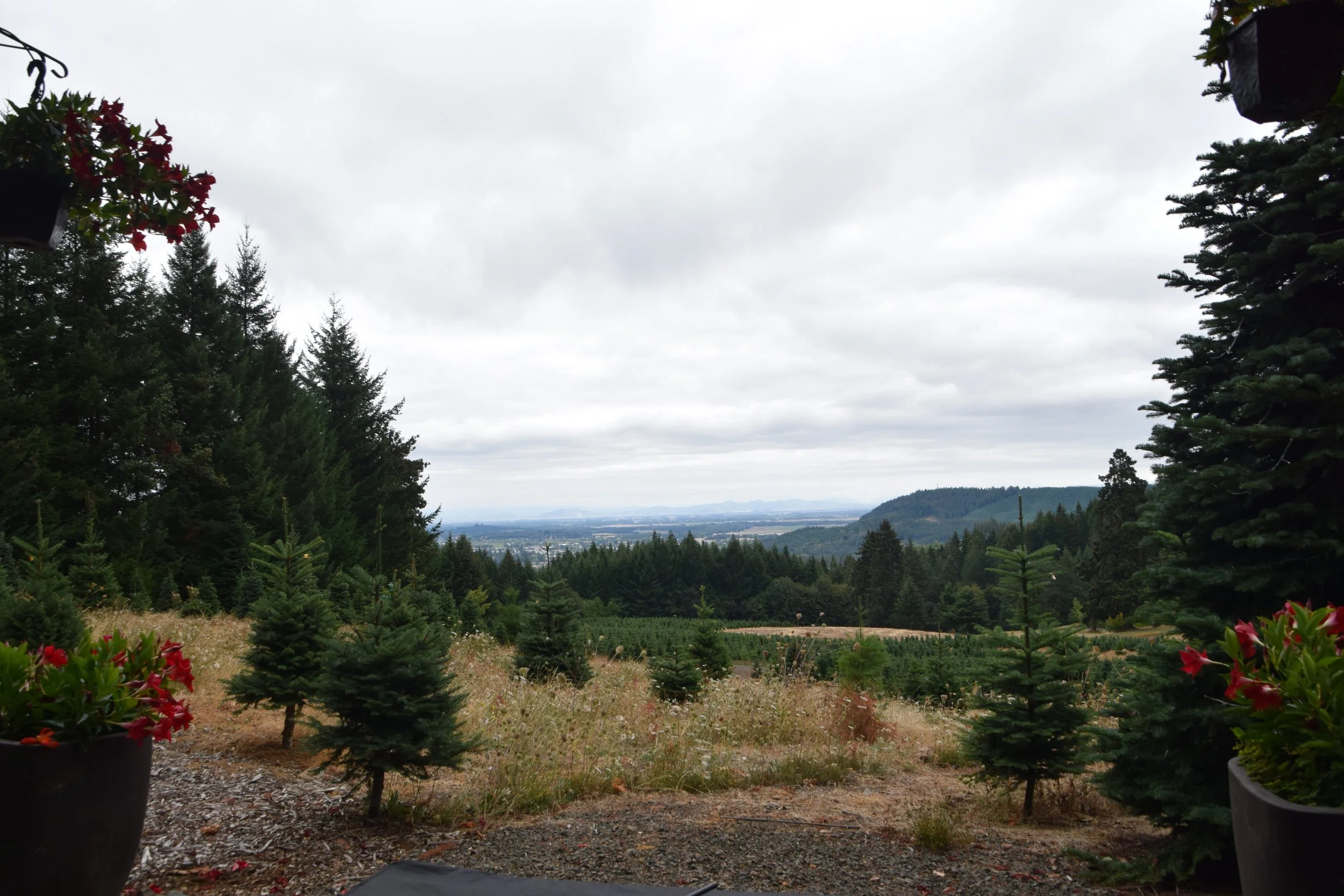 DSC_0260.JPG