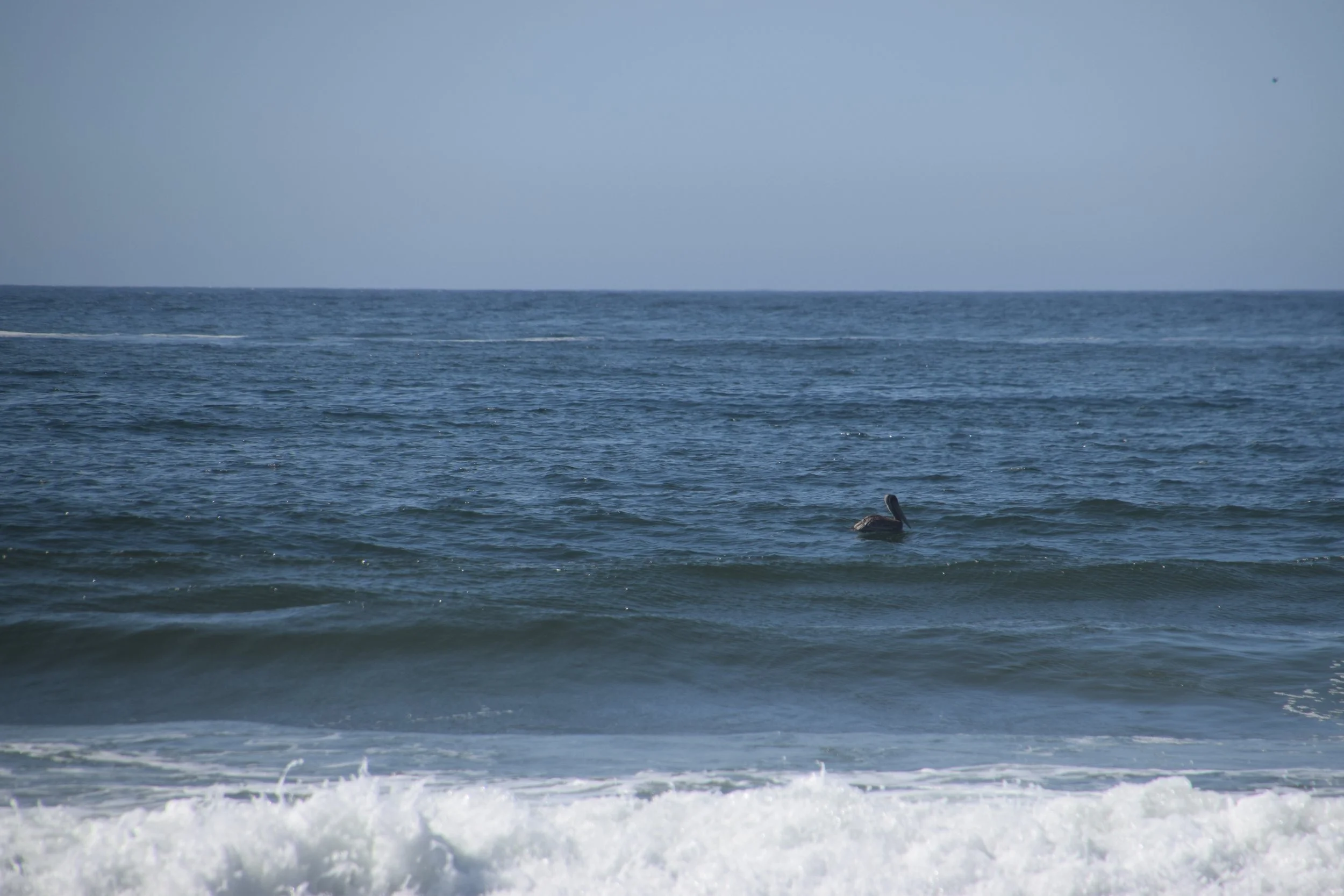 DSC_0403.JPG