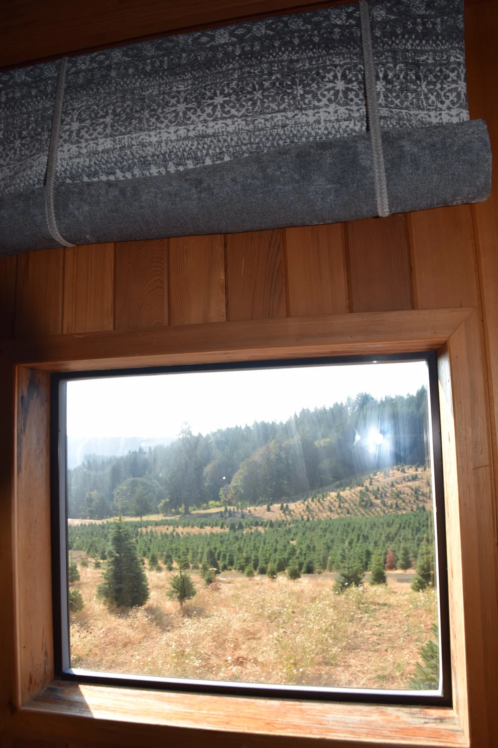   Het lijkt een schilderij maar het was het uitzicht vanuit bed!  
