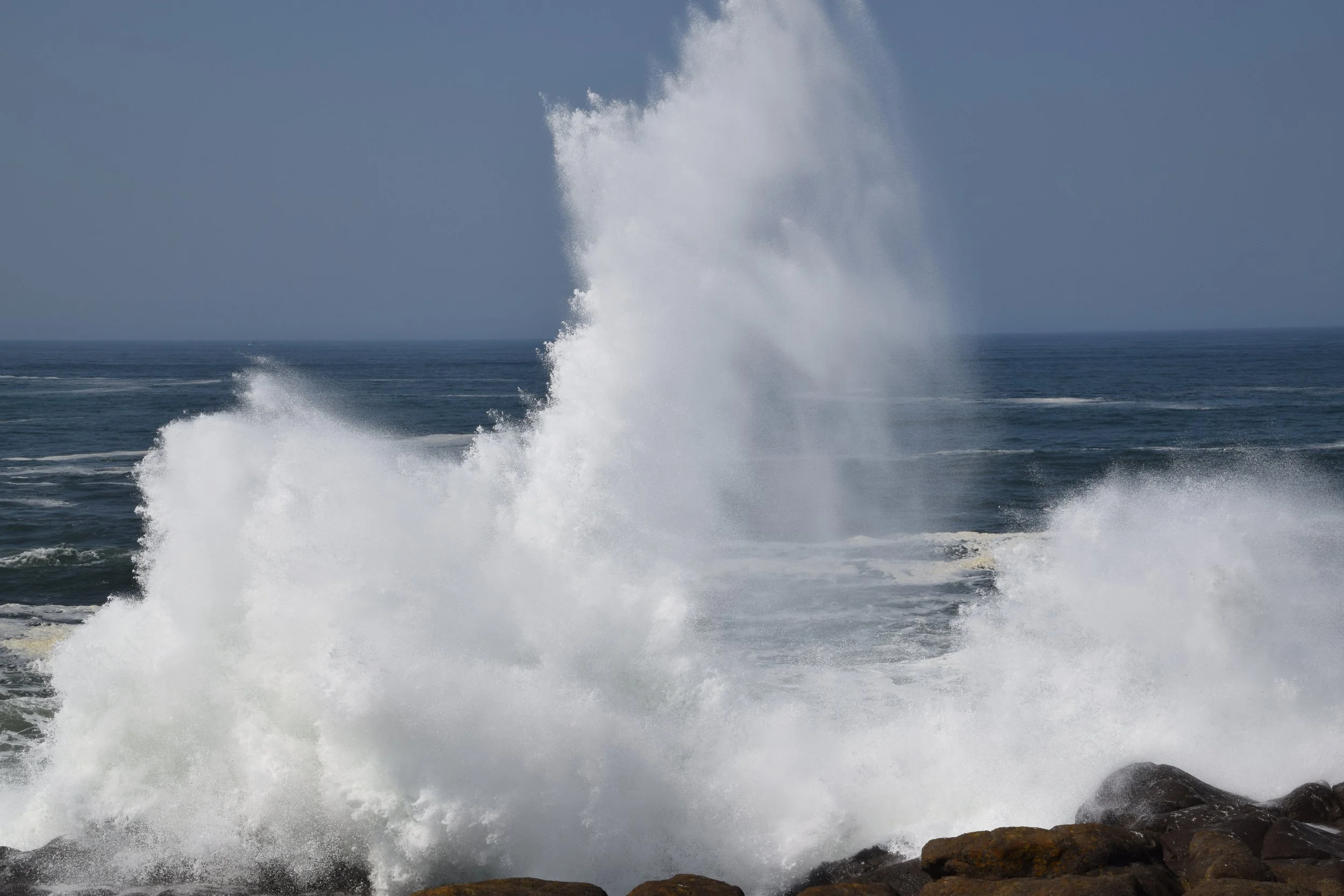 DSC_0514.JPG