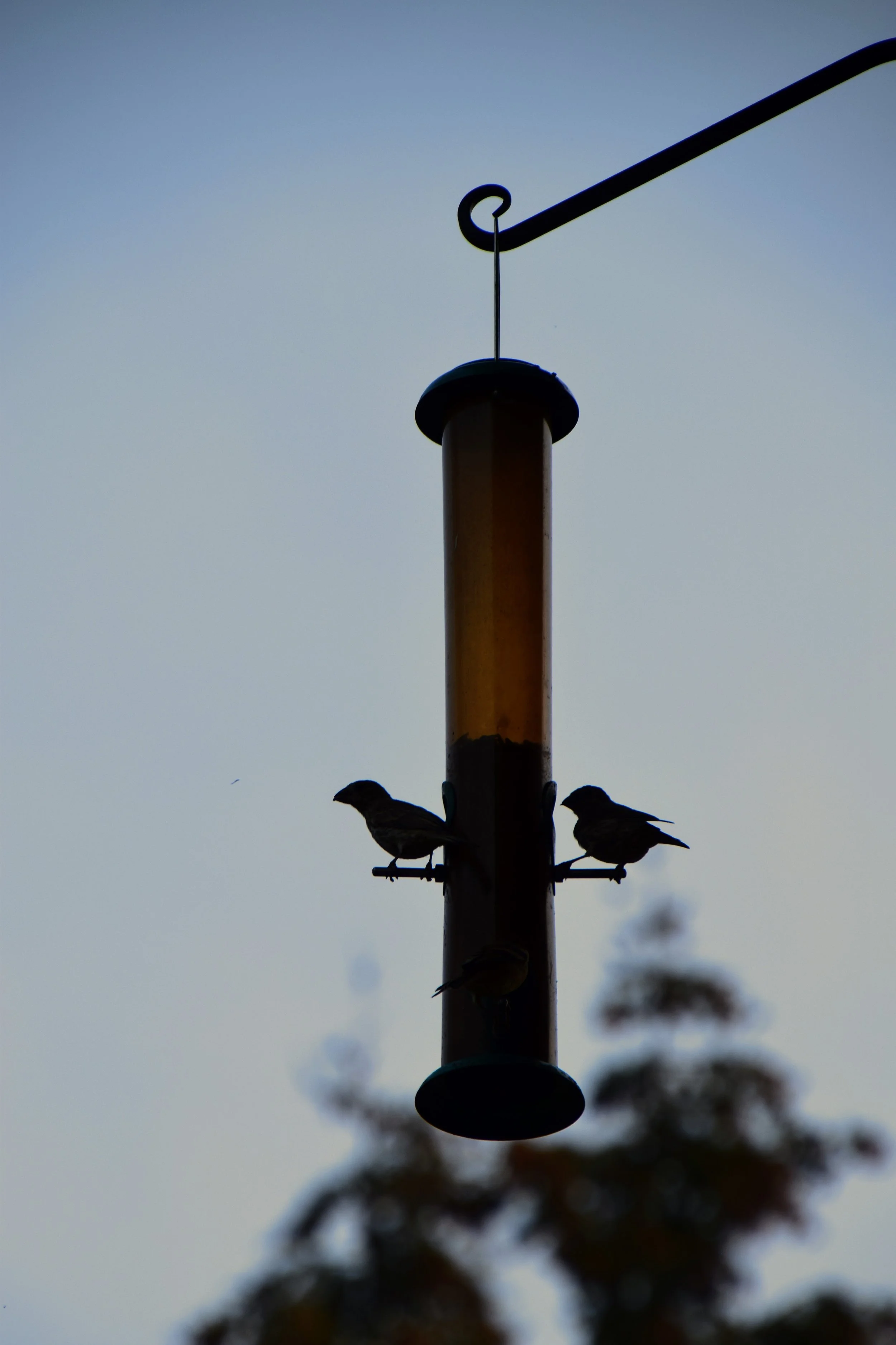 DSC_0578.JPG