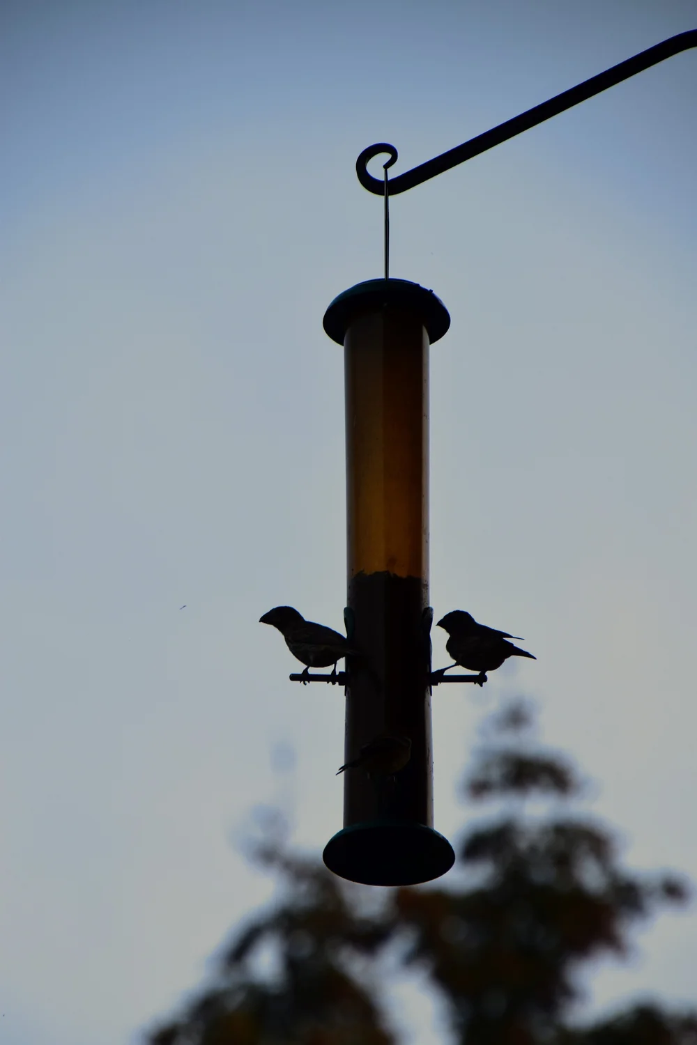 DSC_0578.JPG