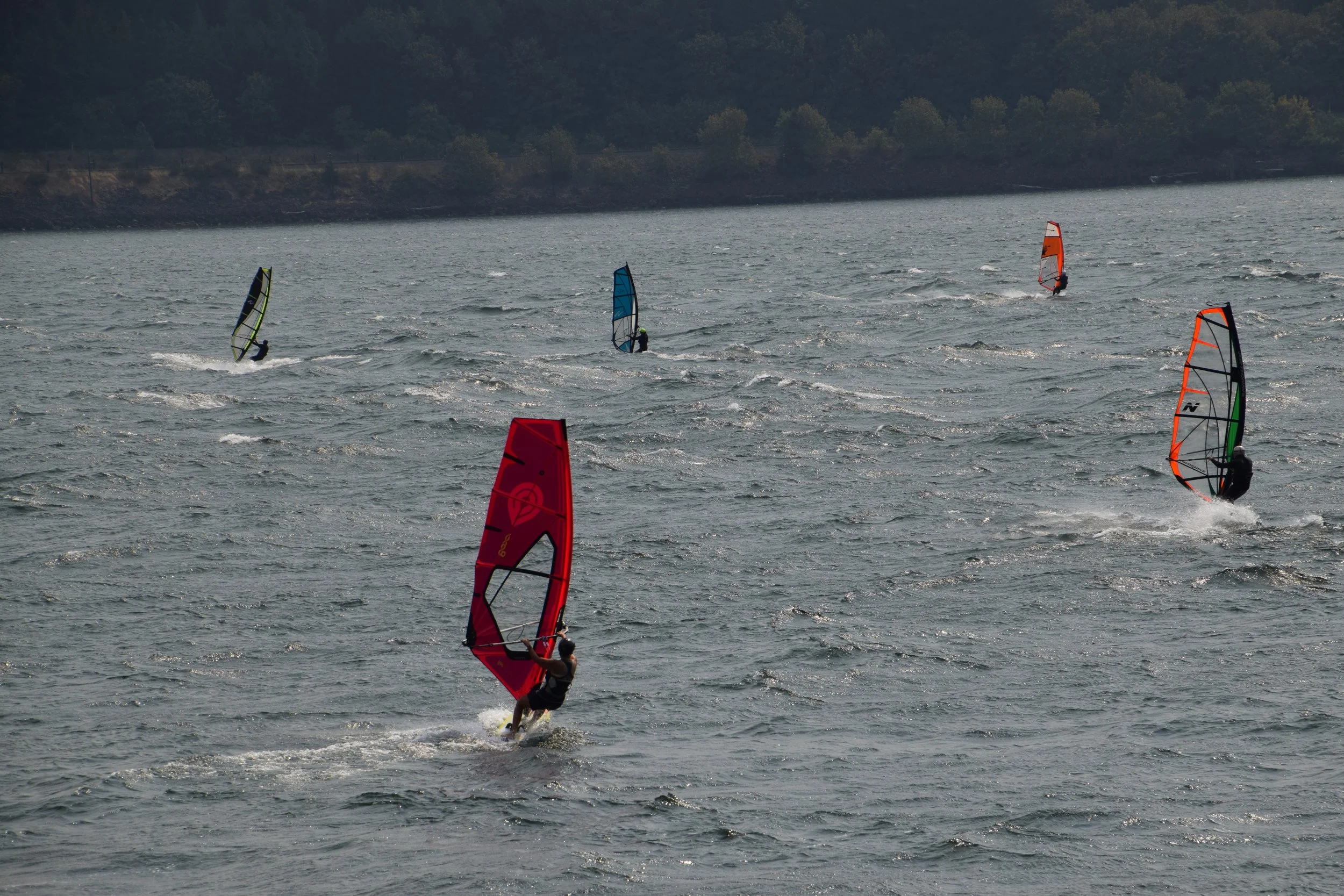 DSC_0618.JPG