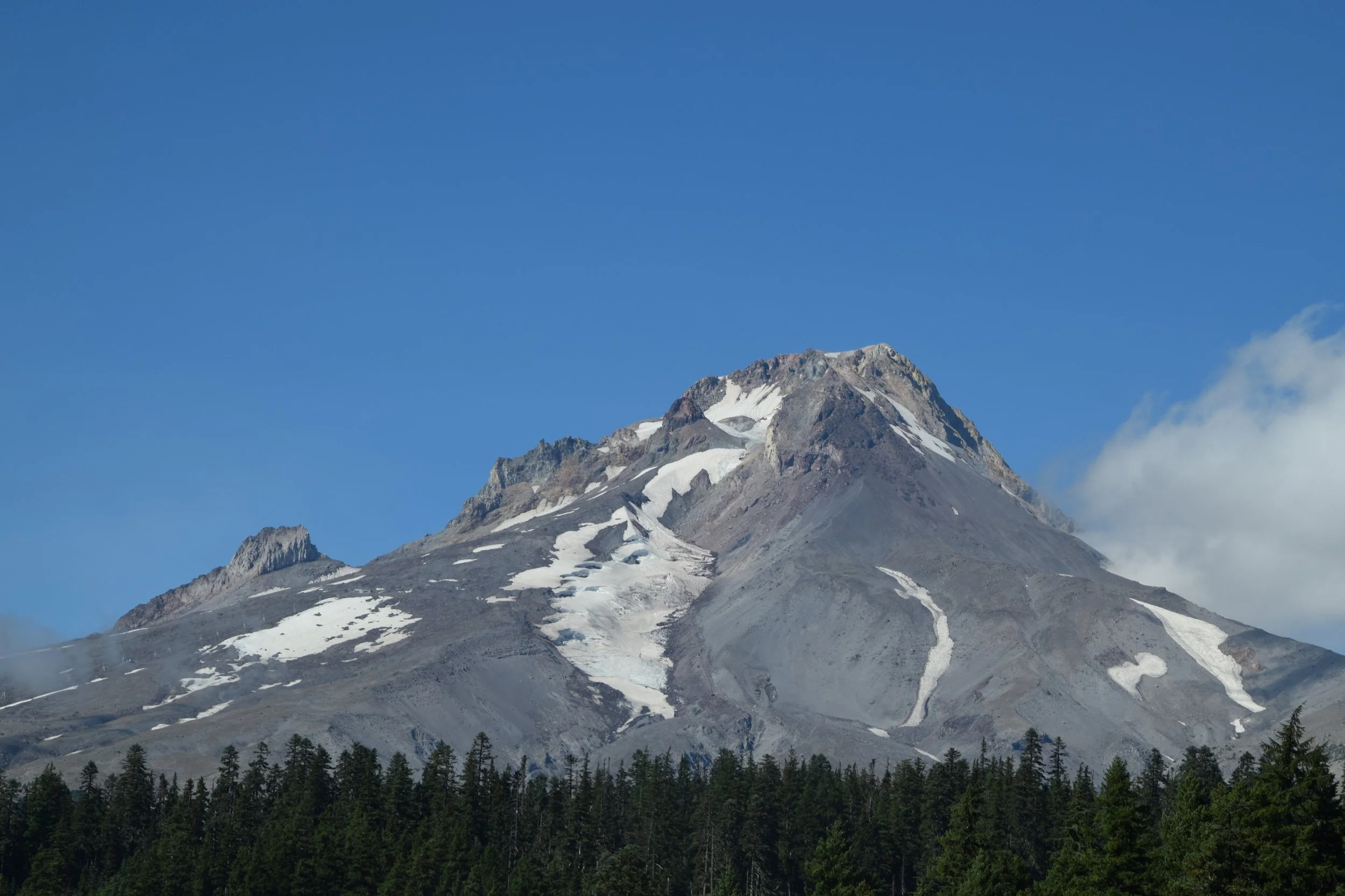 DSC_0721.JPG