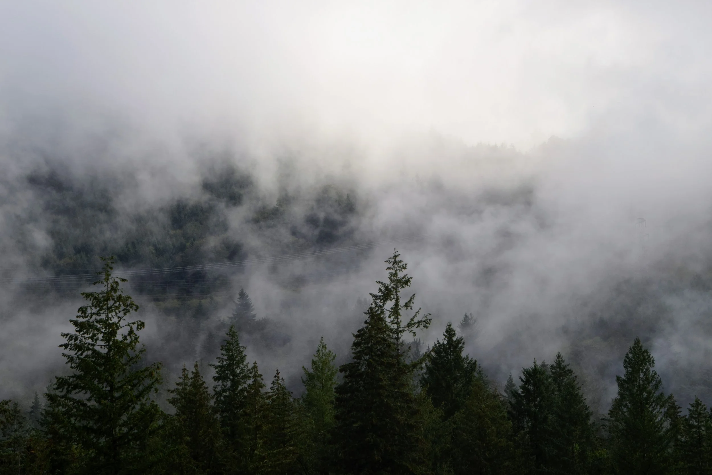 DSC_0742.JPG