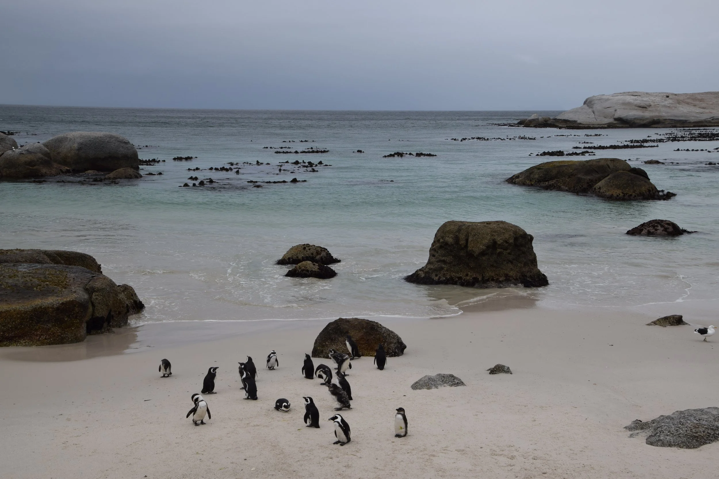 DSC_0126.JPG