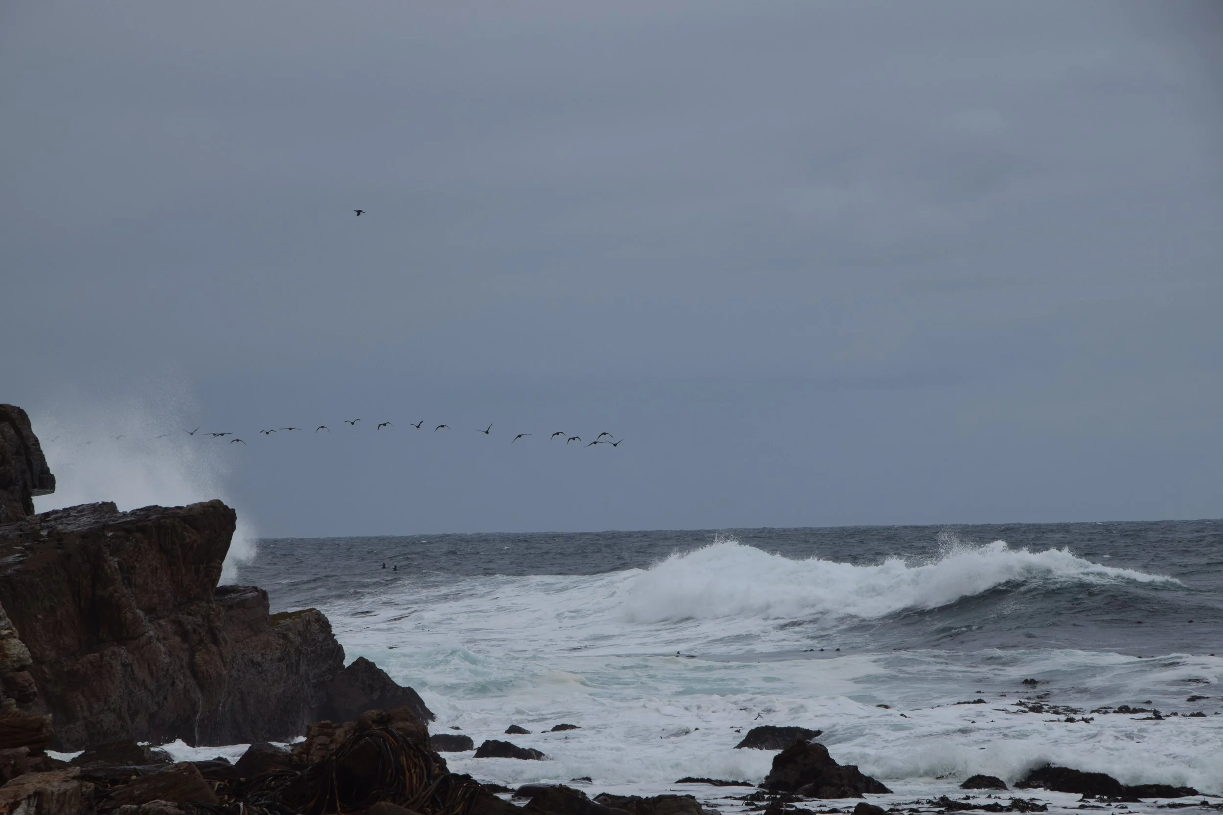 DSC_0159.JPG
