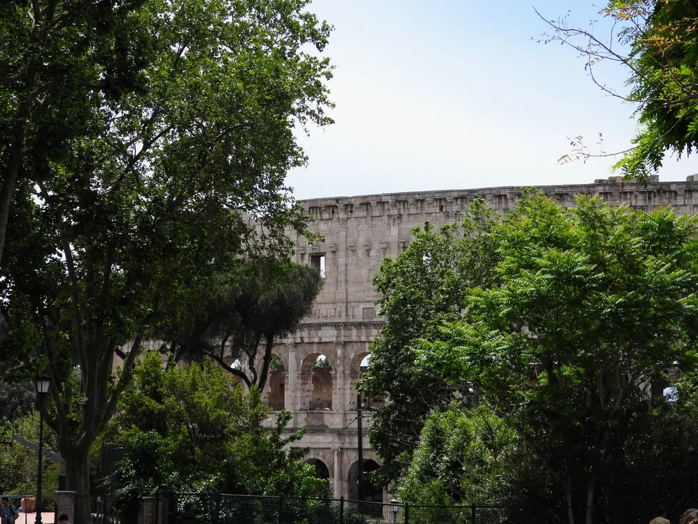 DSCN0129.JPG