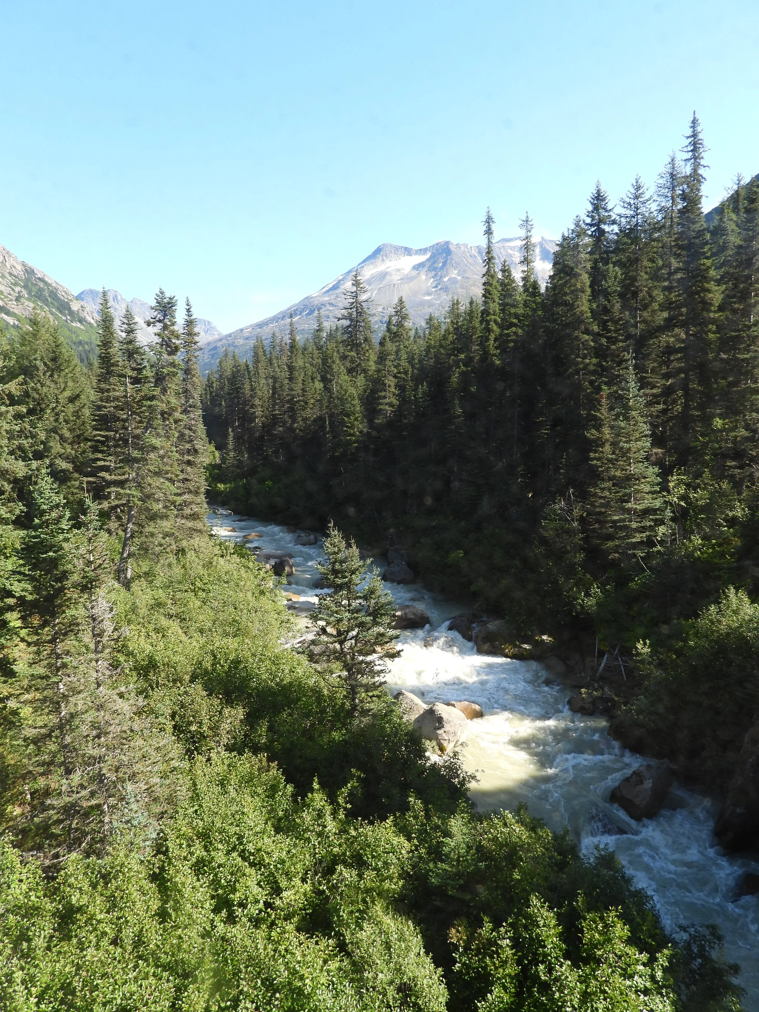 DSCN0975.JPG