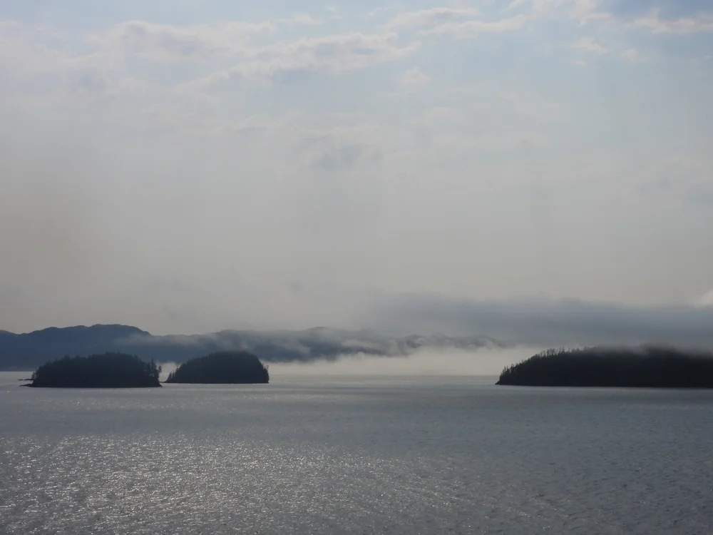 DSCN1330.JPG