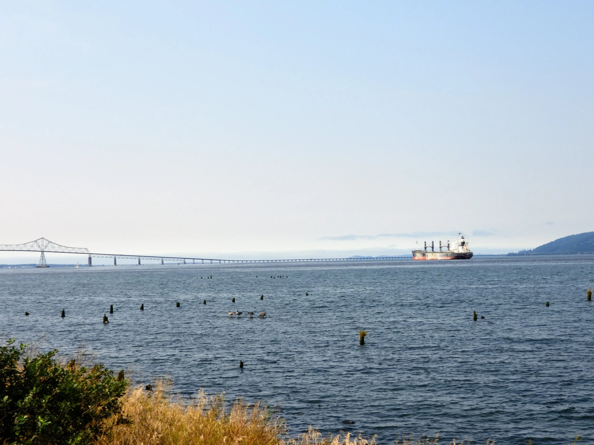 DSCN1681.JPG