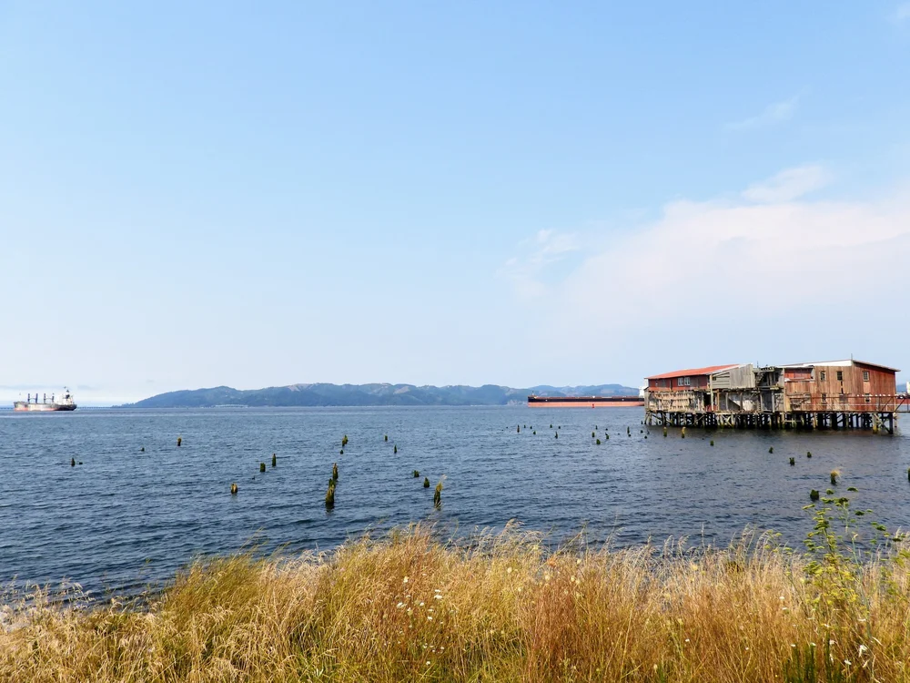 DSCN1682.JPG