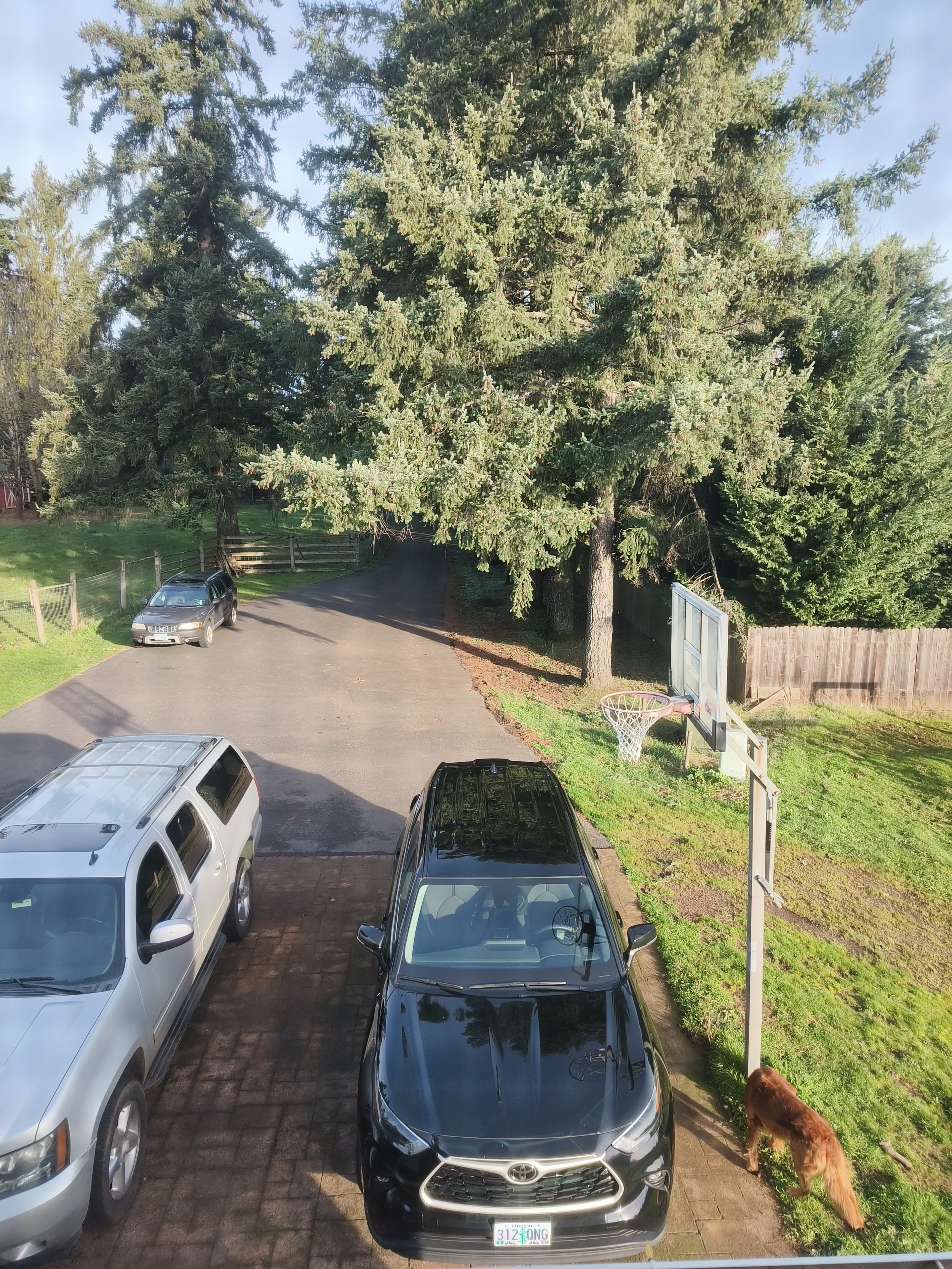 Uitzicht vanuit een van de ramen in de airbnb