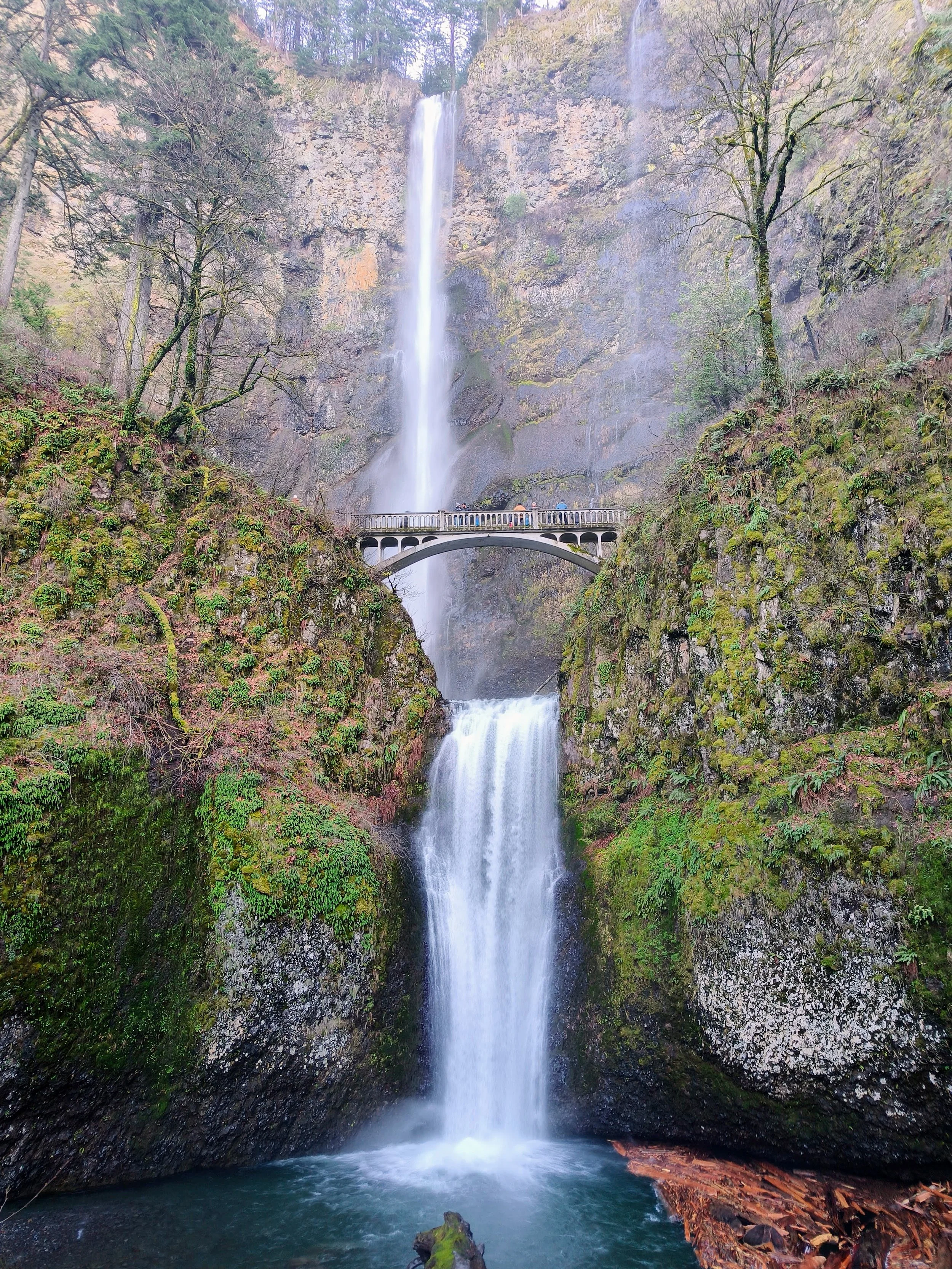 31 december en 1 januari