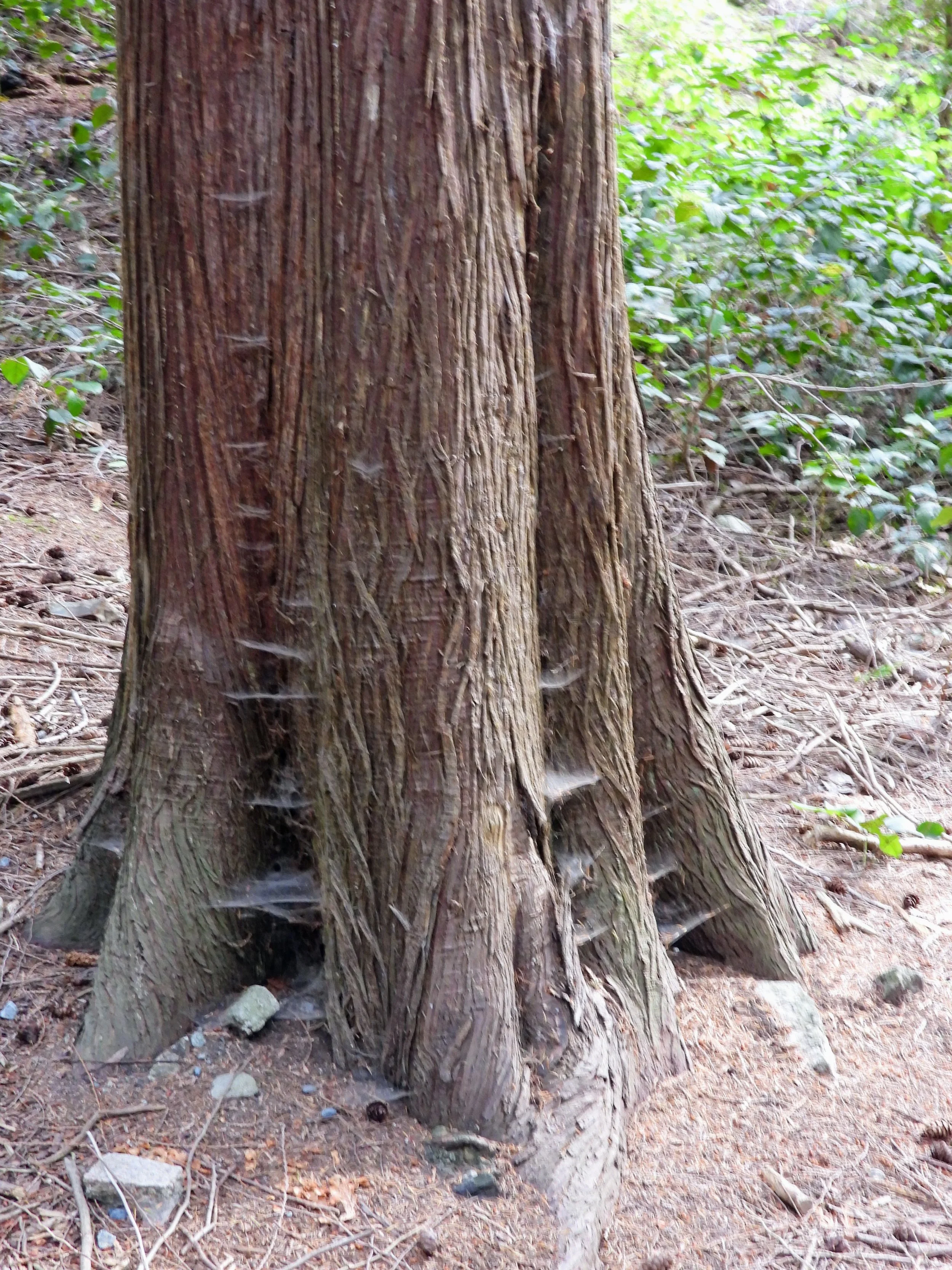 DSCN2419.JPG