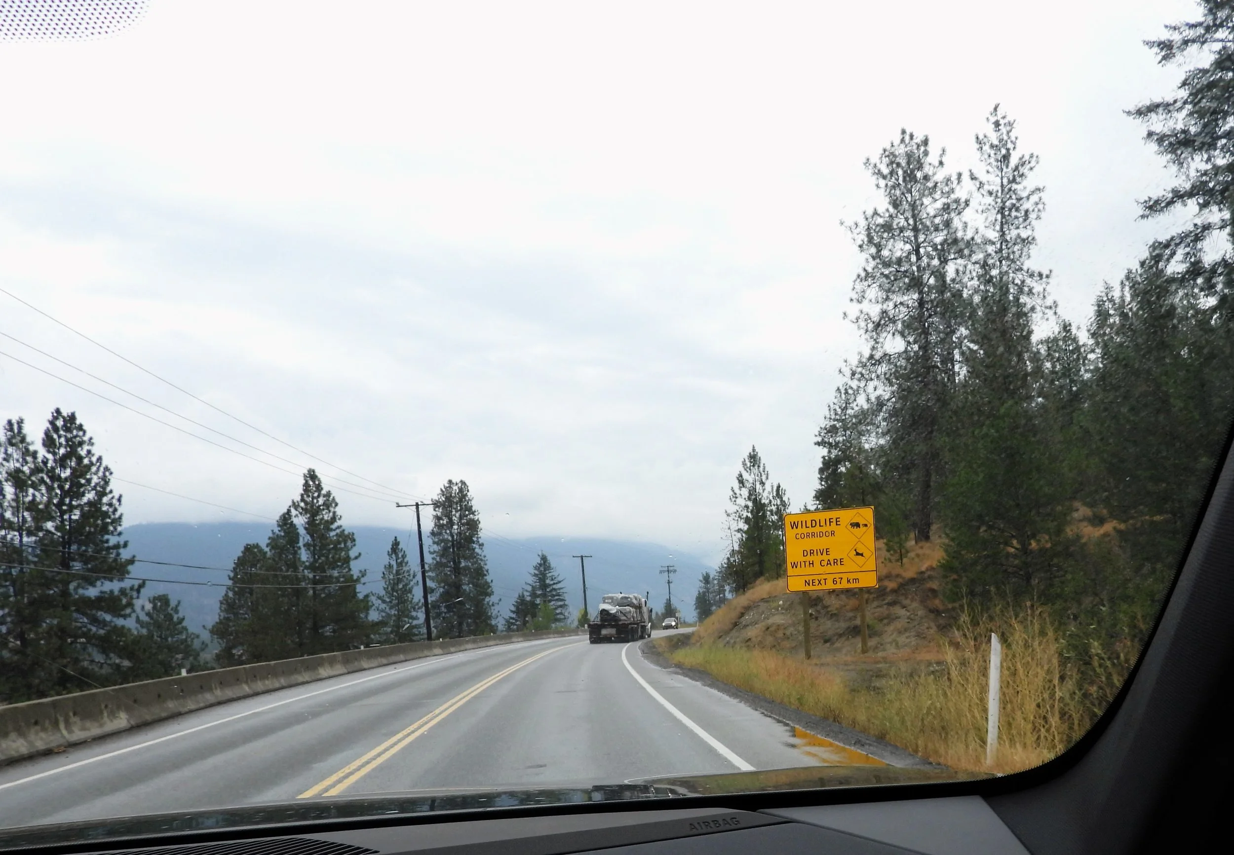 DSCN2461.JPG