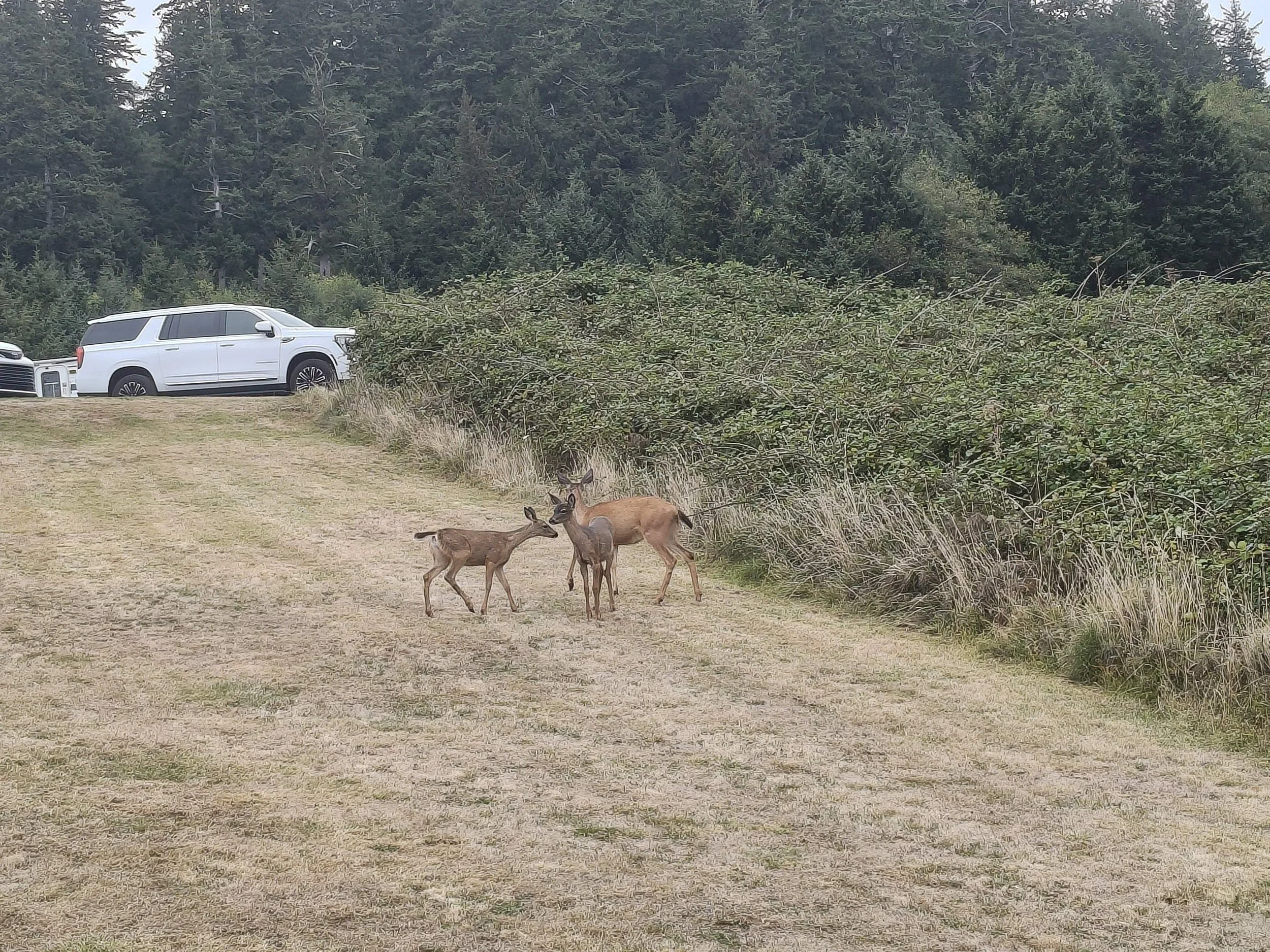 IMG20260914093550.jpg