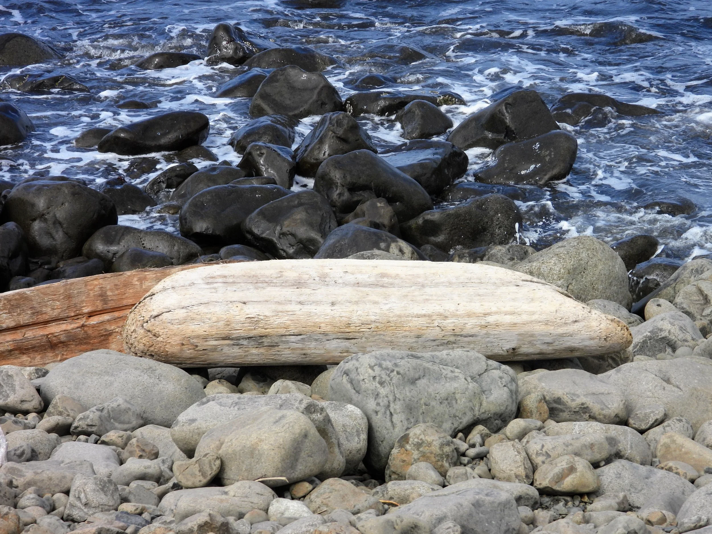 DSCN3039.JPG