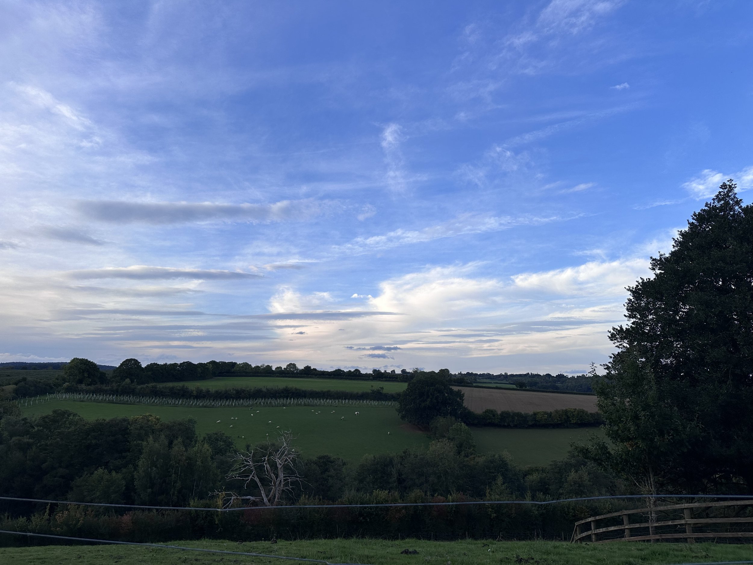 IMG_7130.jpeg
