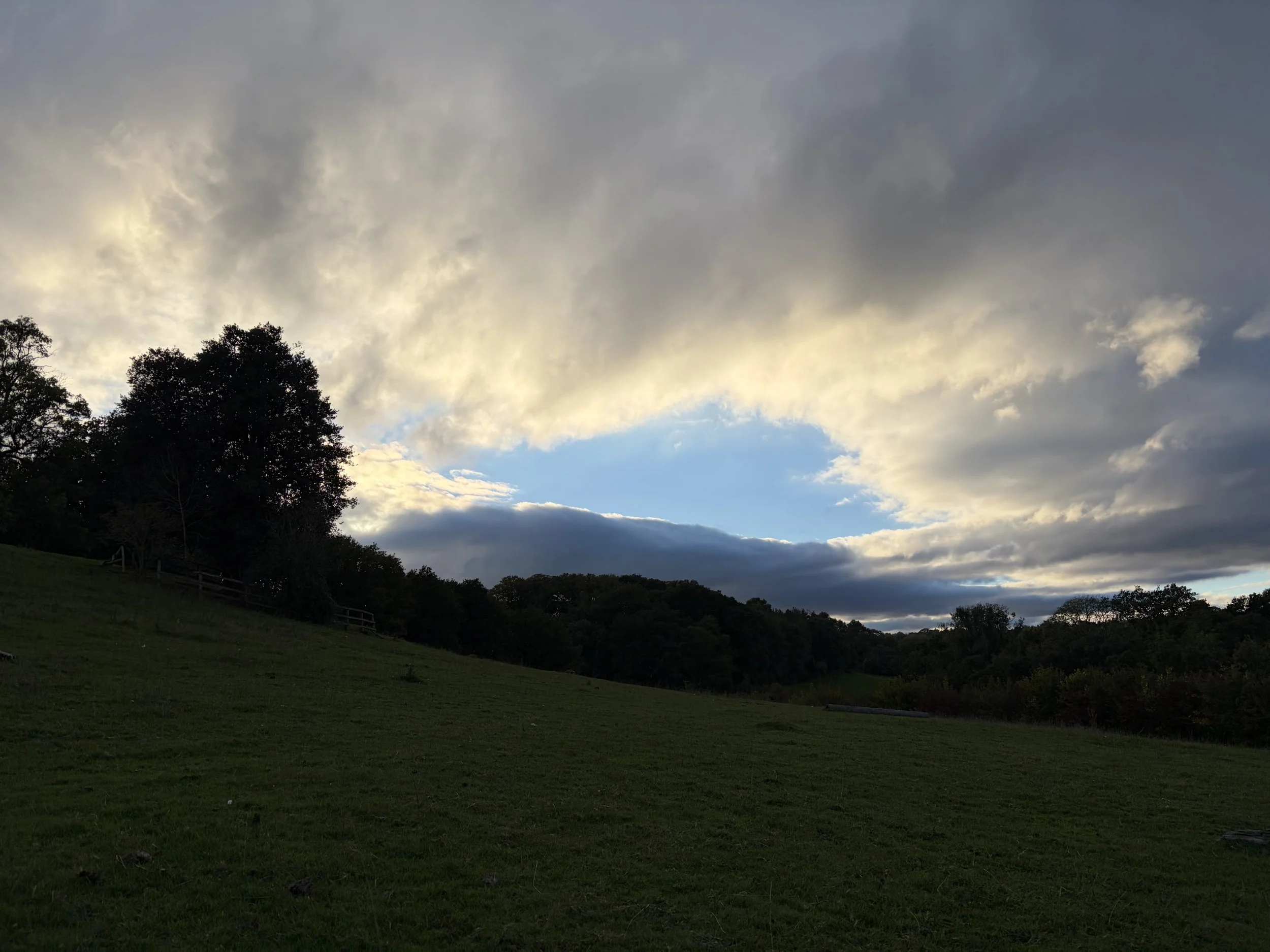 IMG_1438.jpeg