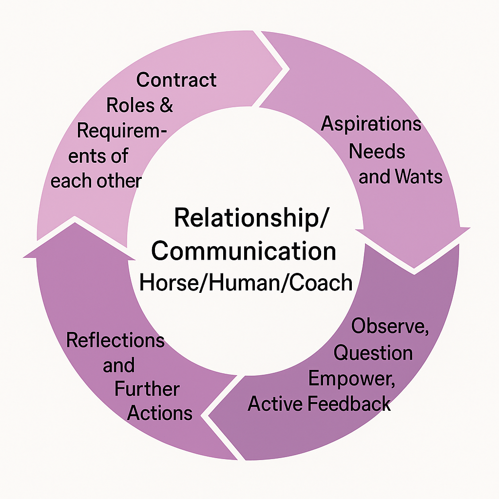Linked Mindset & Ridden Coaching session