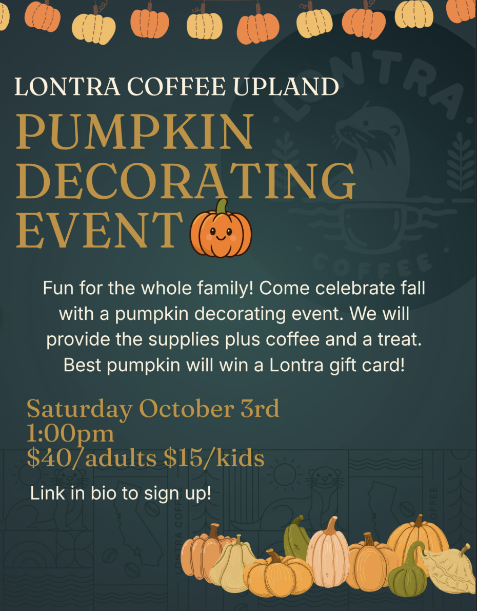Lontra- Pumpkin Decorating